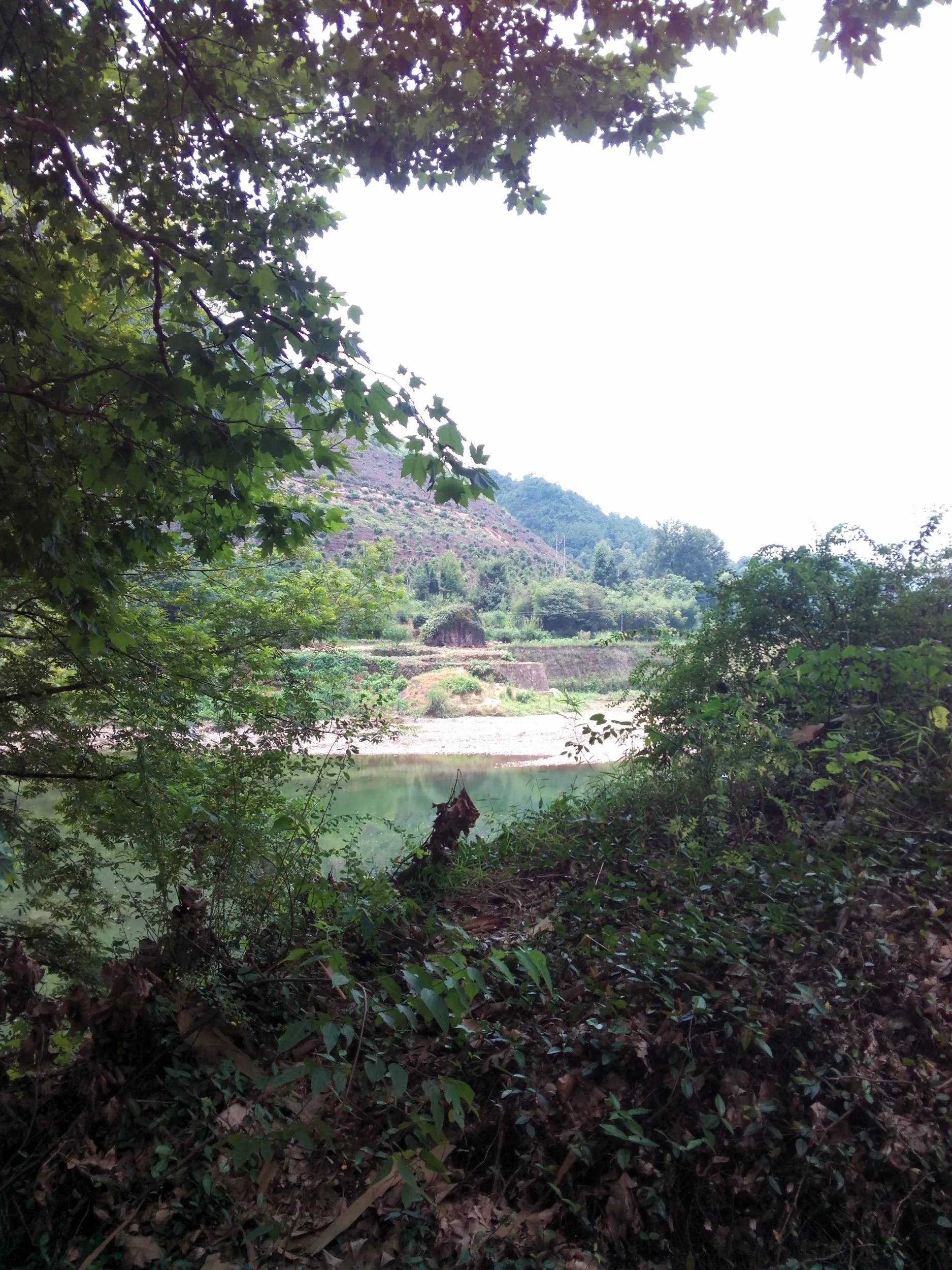 風景