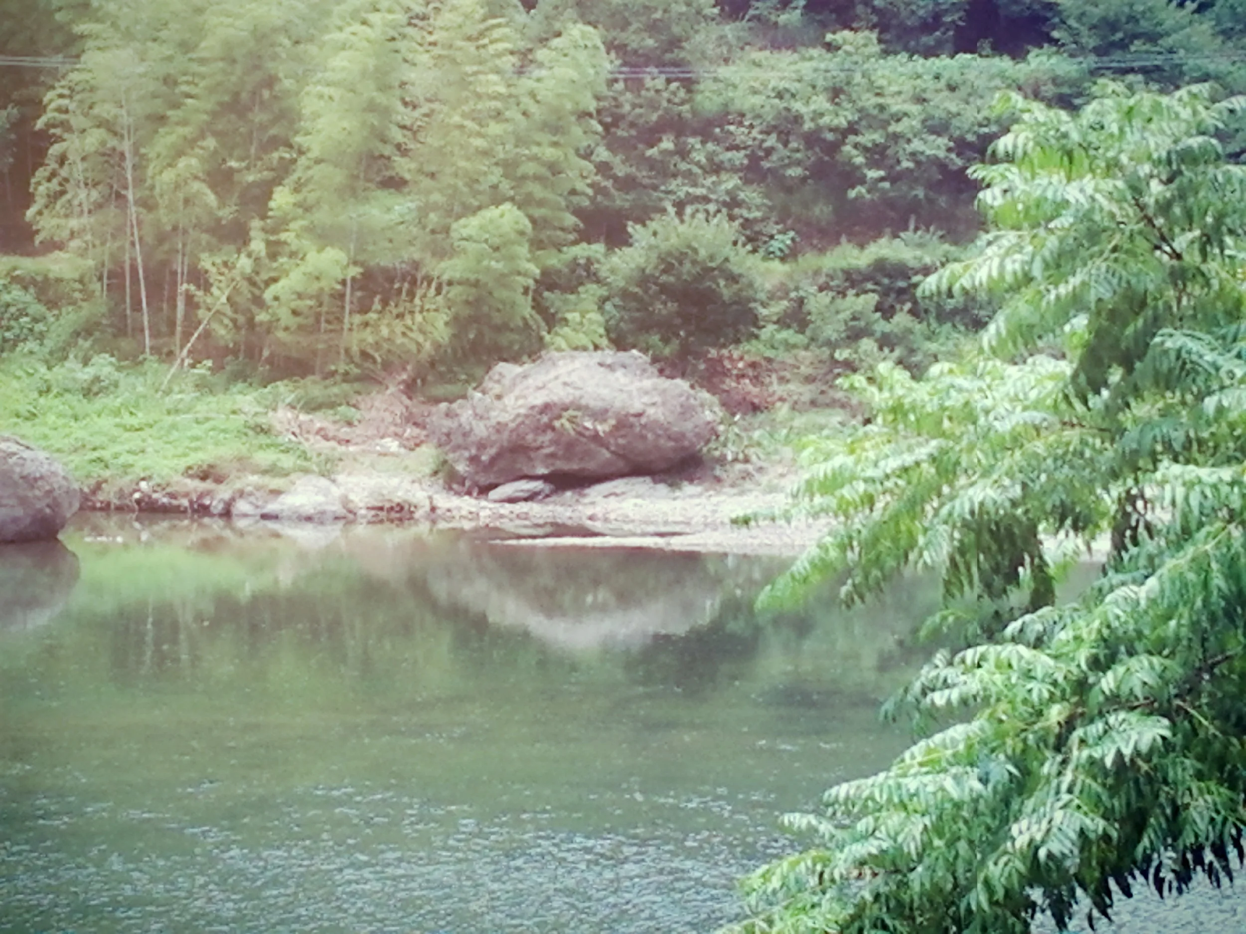 風景