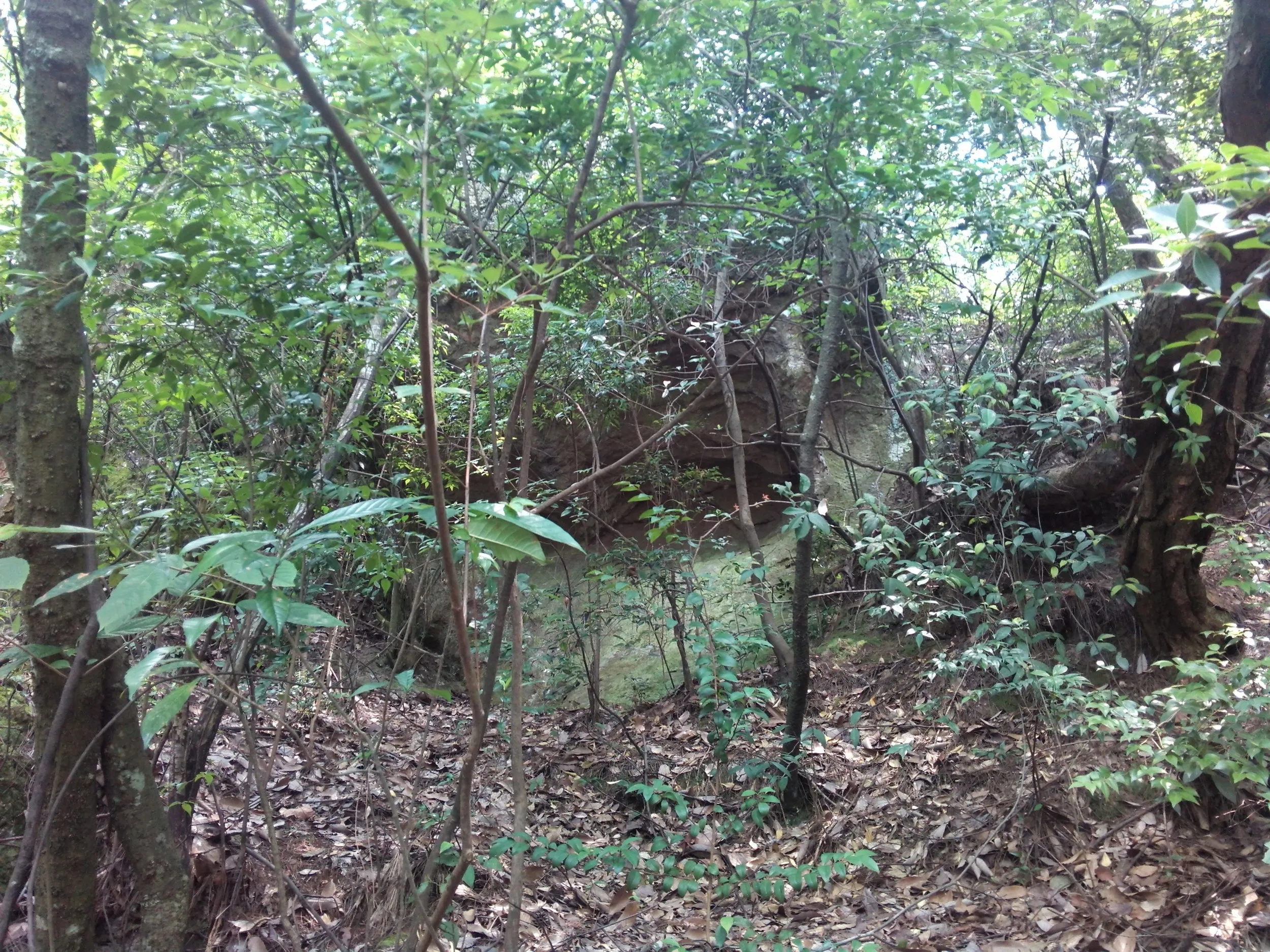 小赤壁の風景