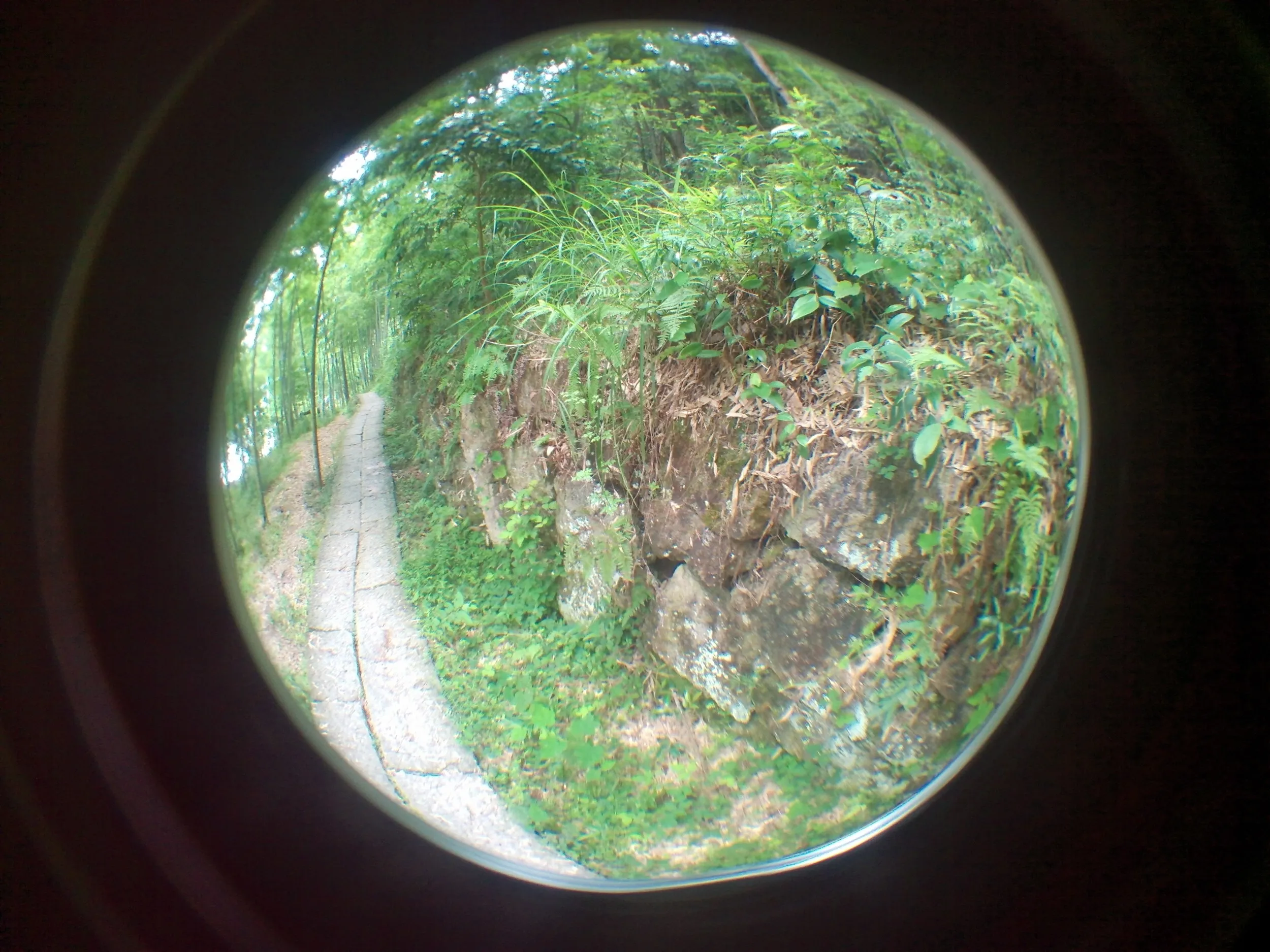 小赤壁の風景