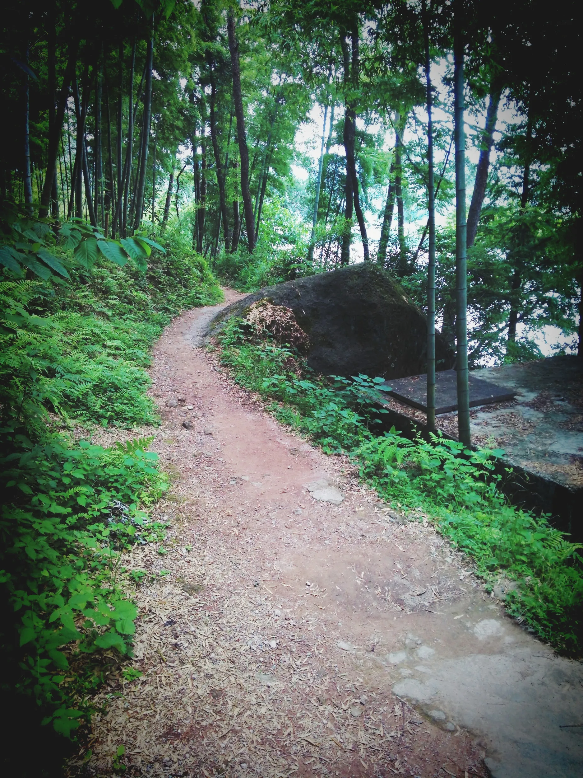 小赤壁の風景