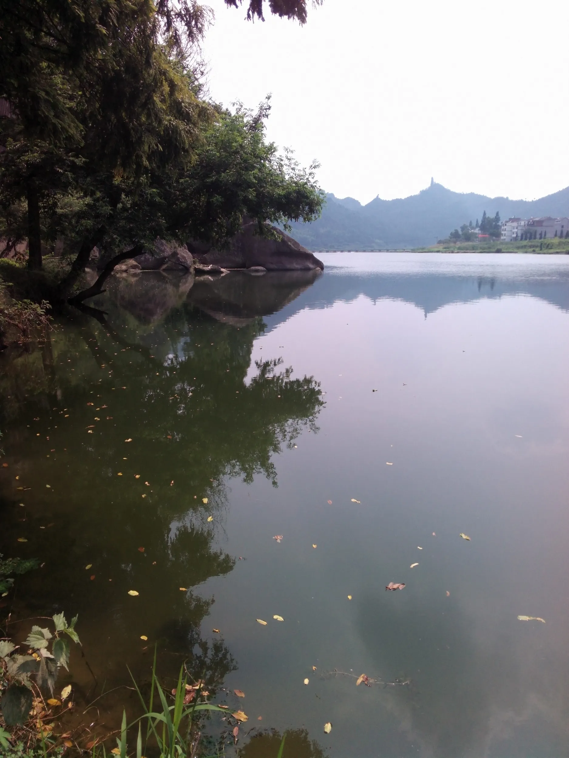 小赤壁の川辺