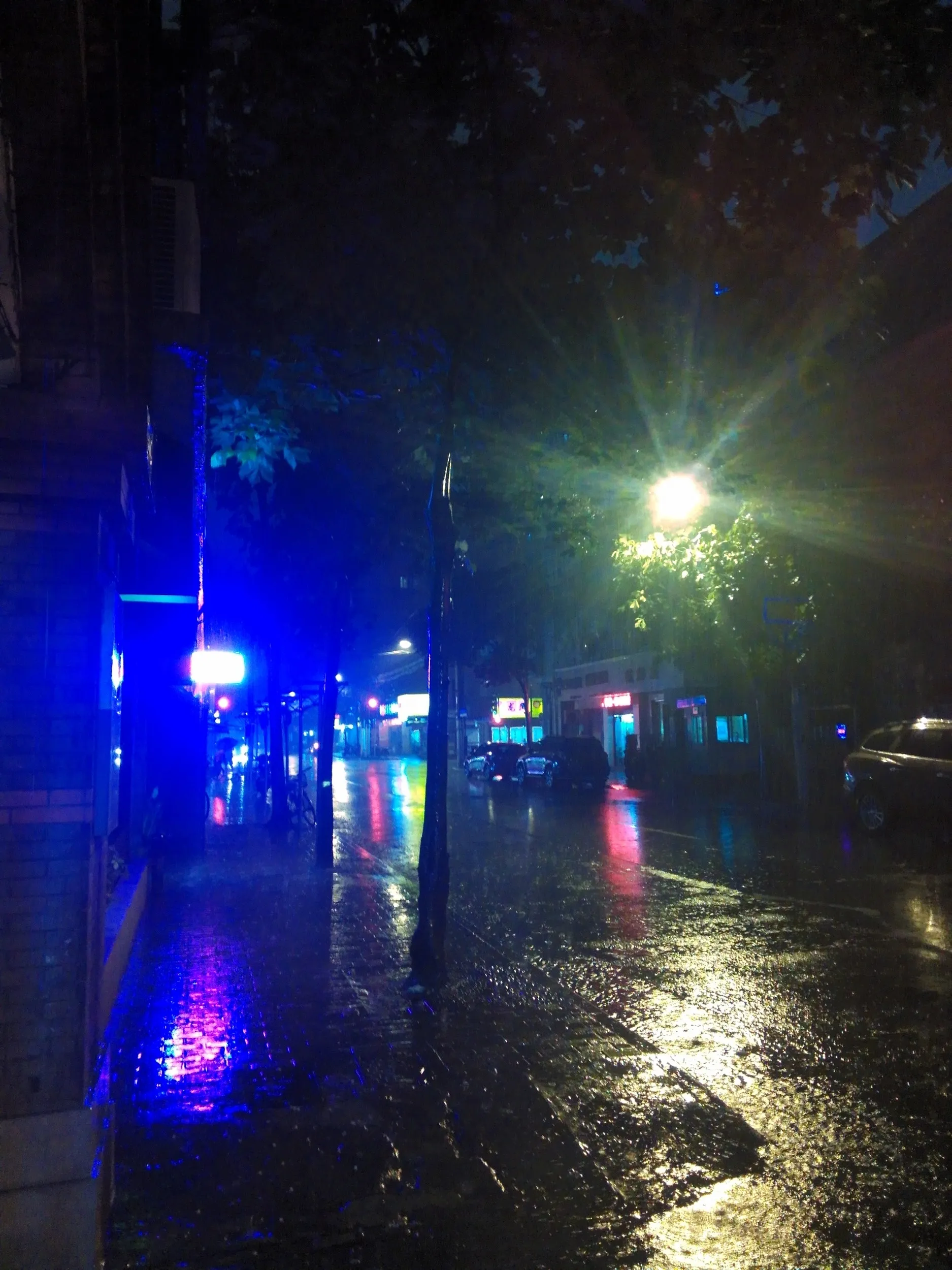 上海は暴雨に見舞われた