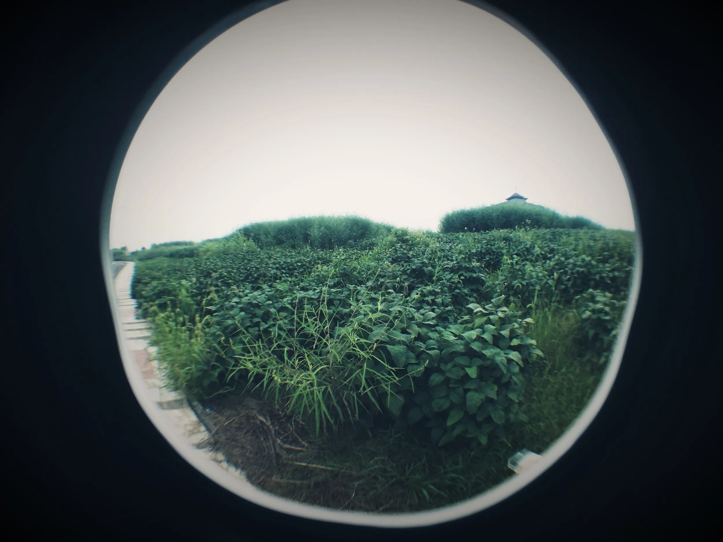海寧西駅周辺