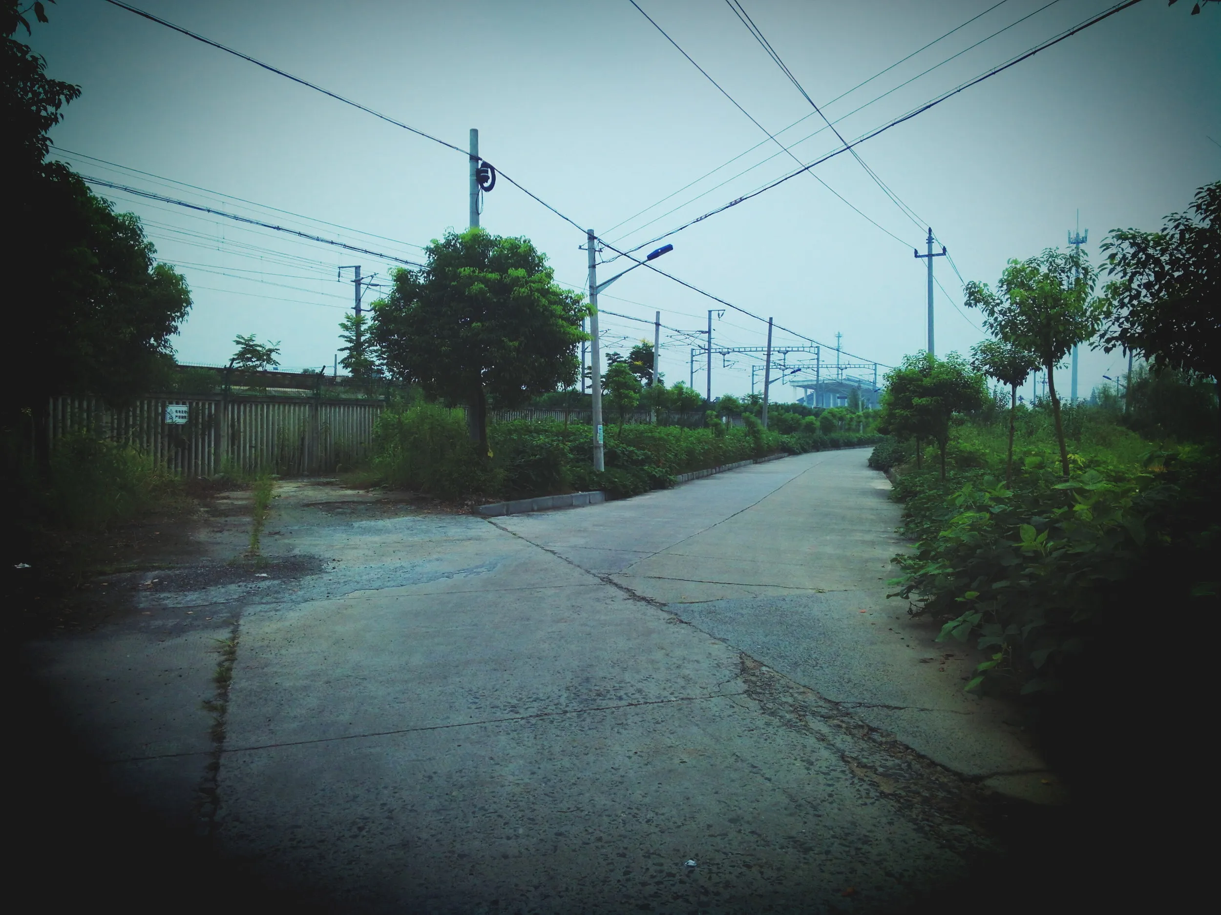 風景写真