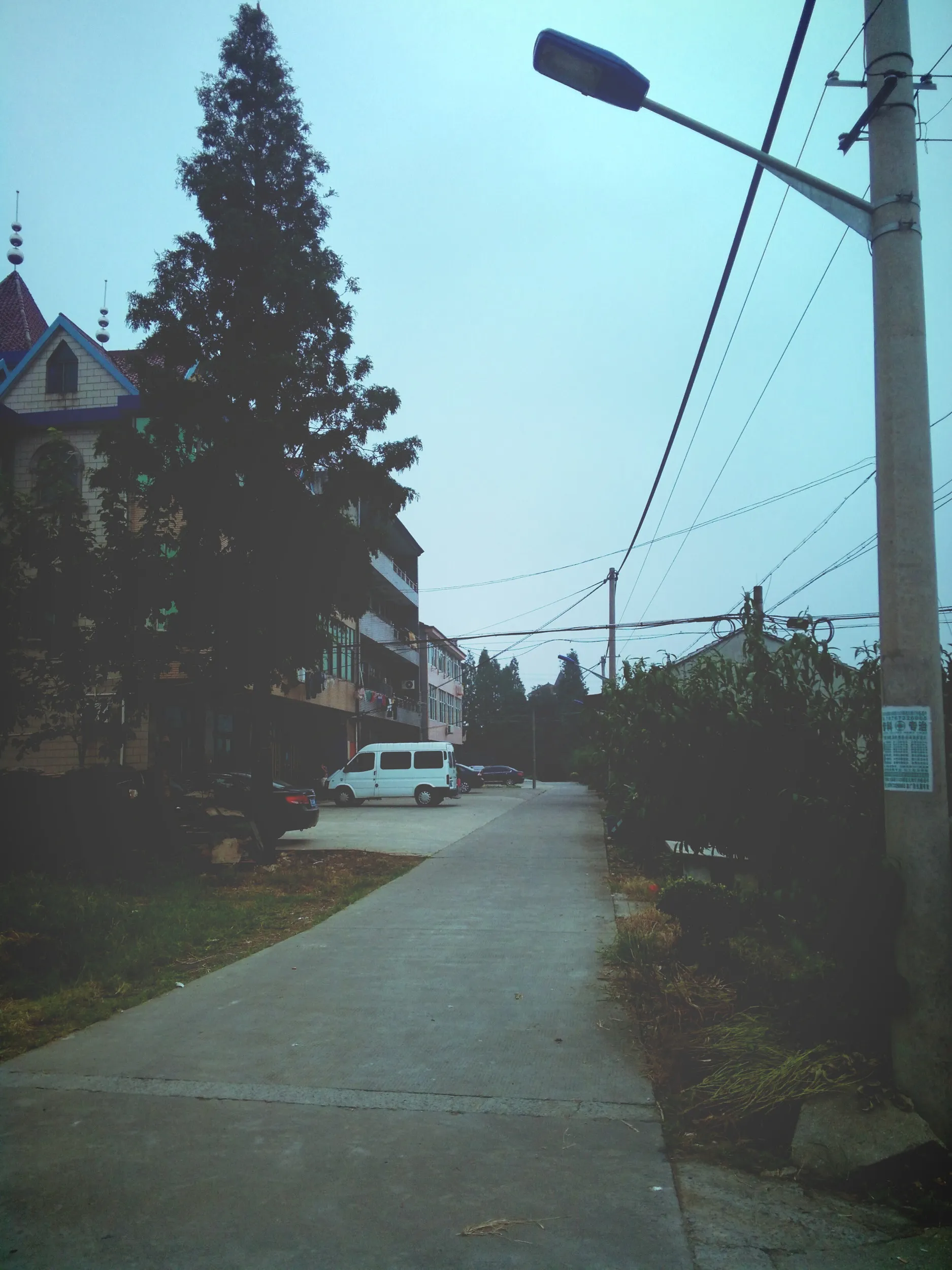 風景写真