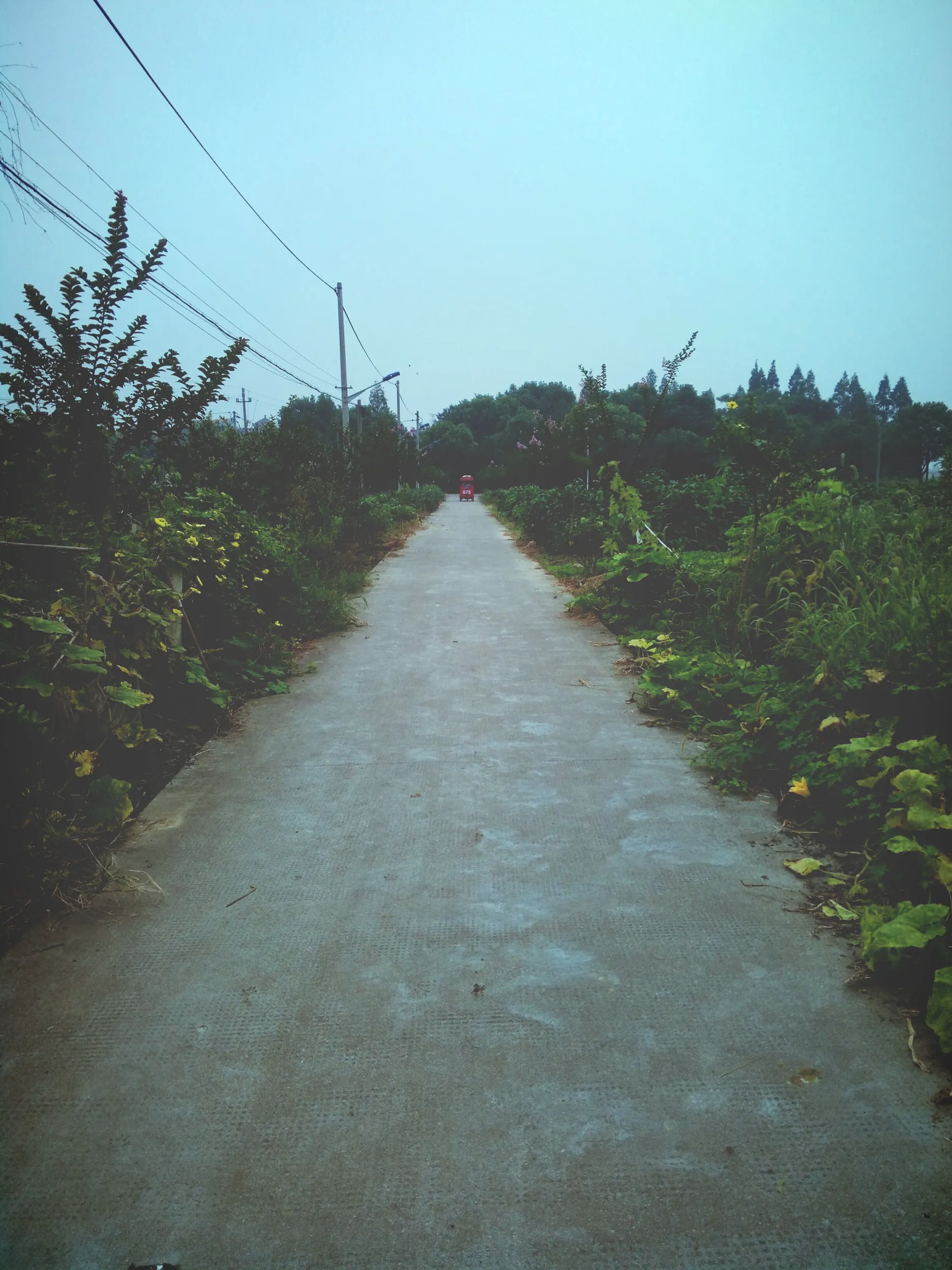 風景写真