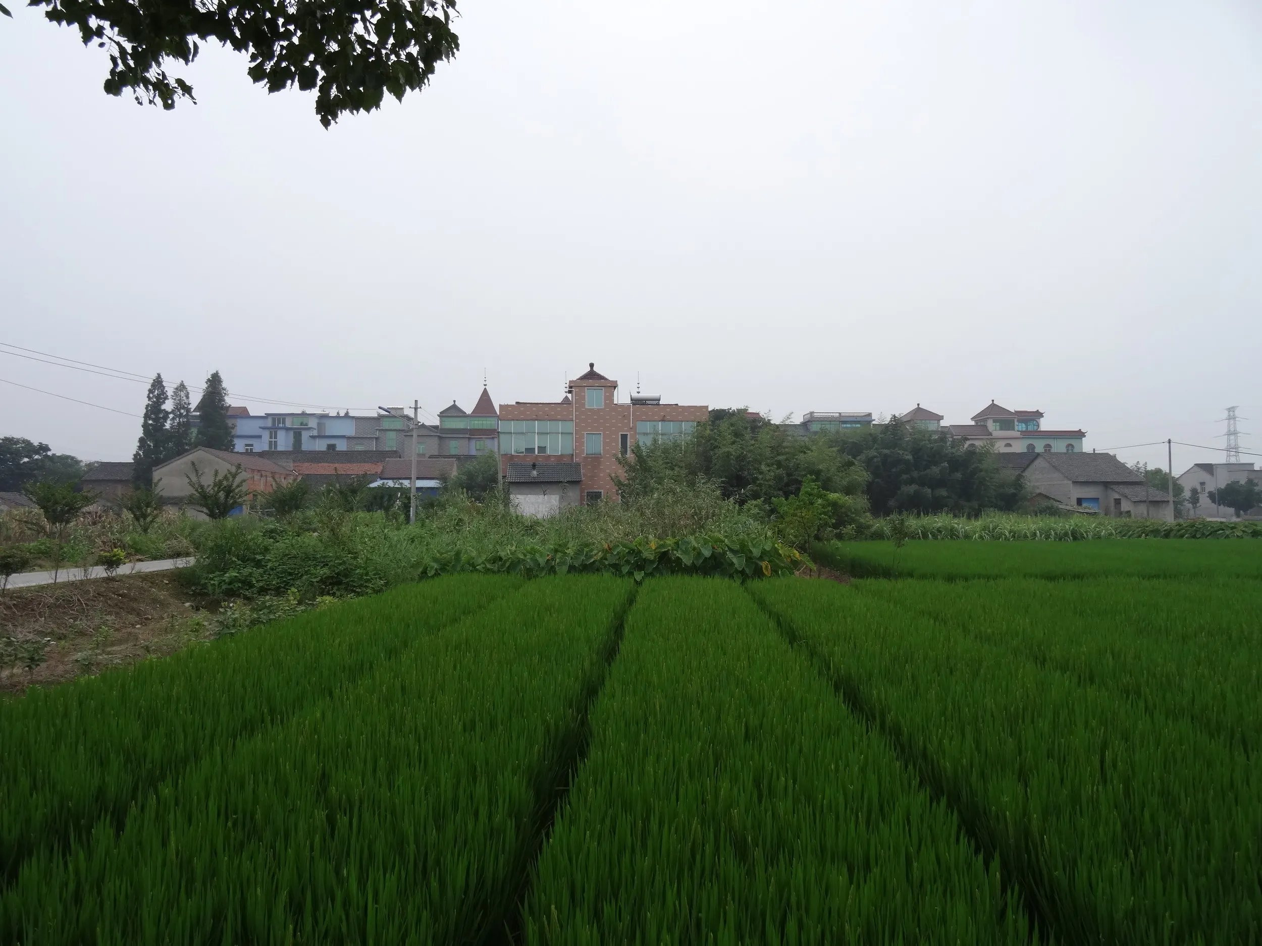 田園風景