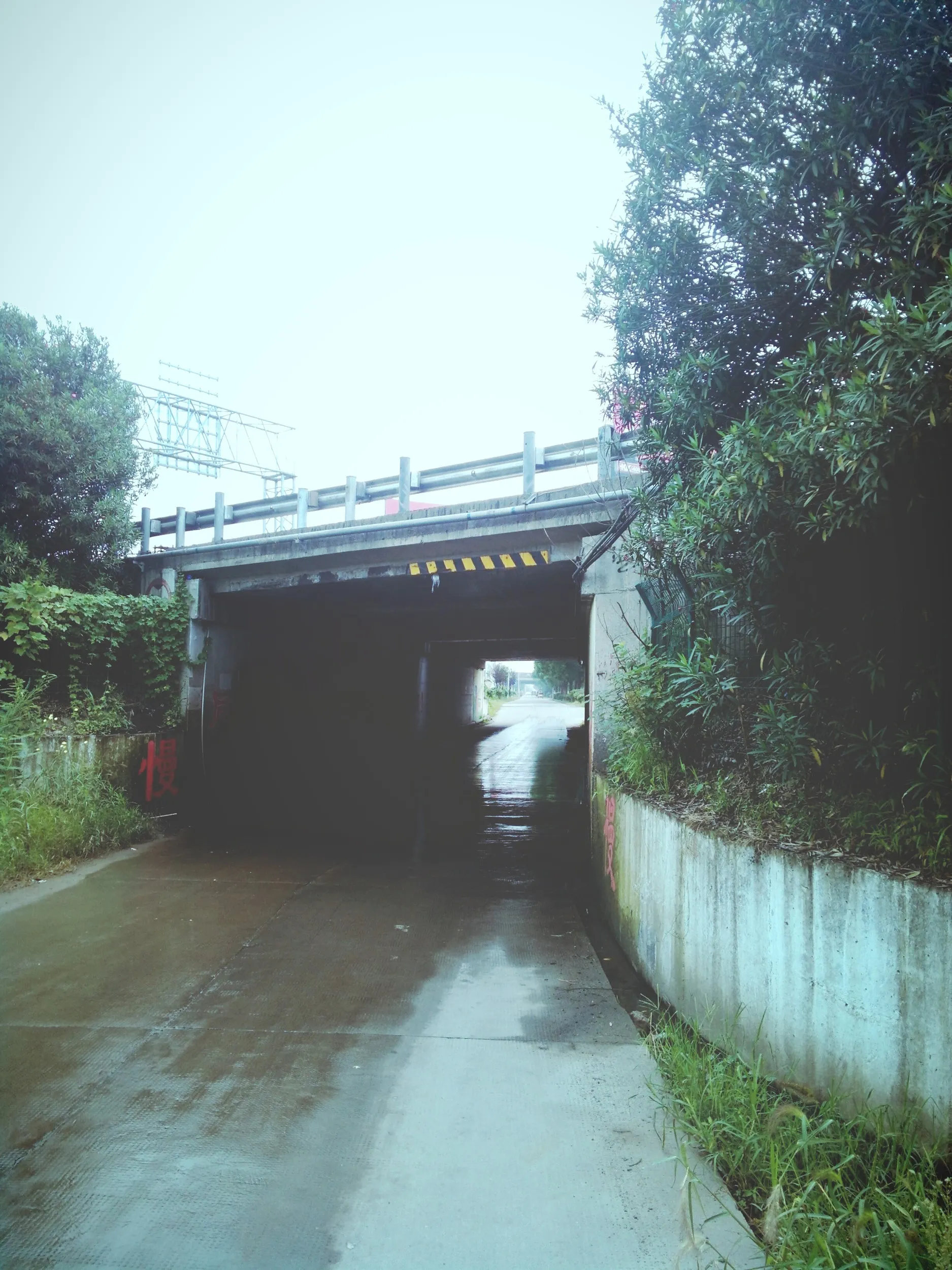 風景写真