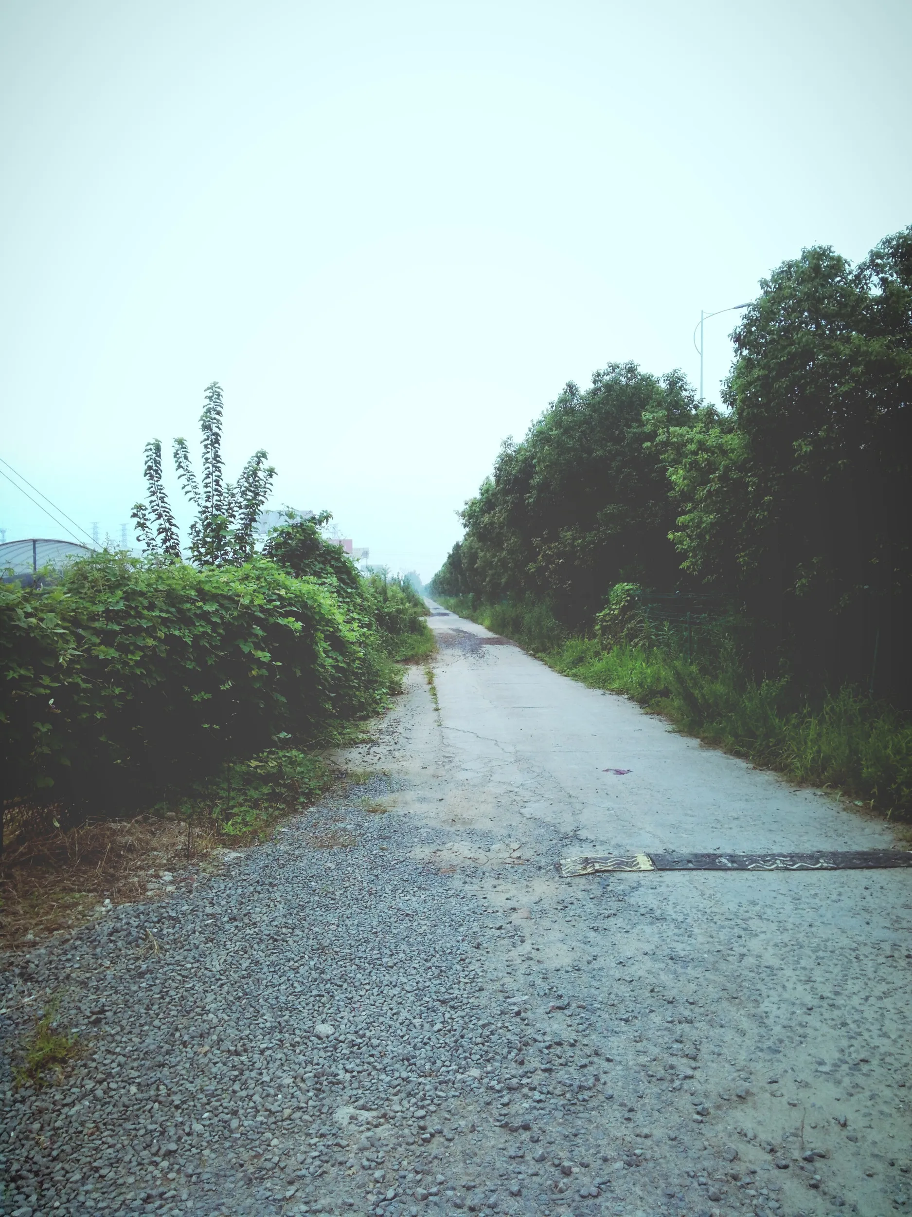 風景写真