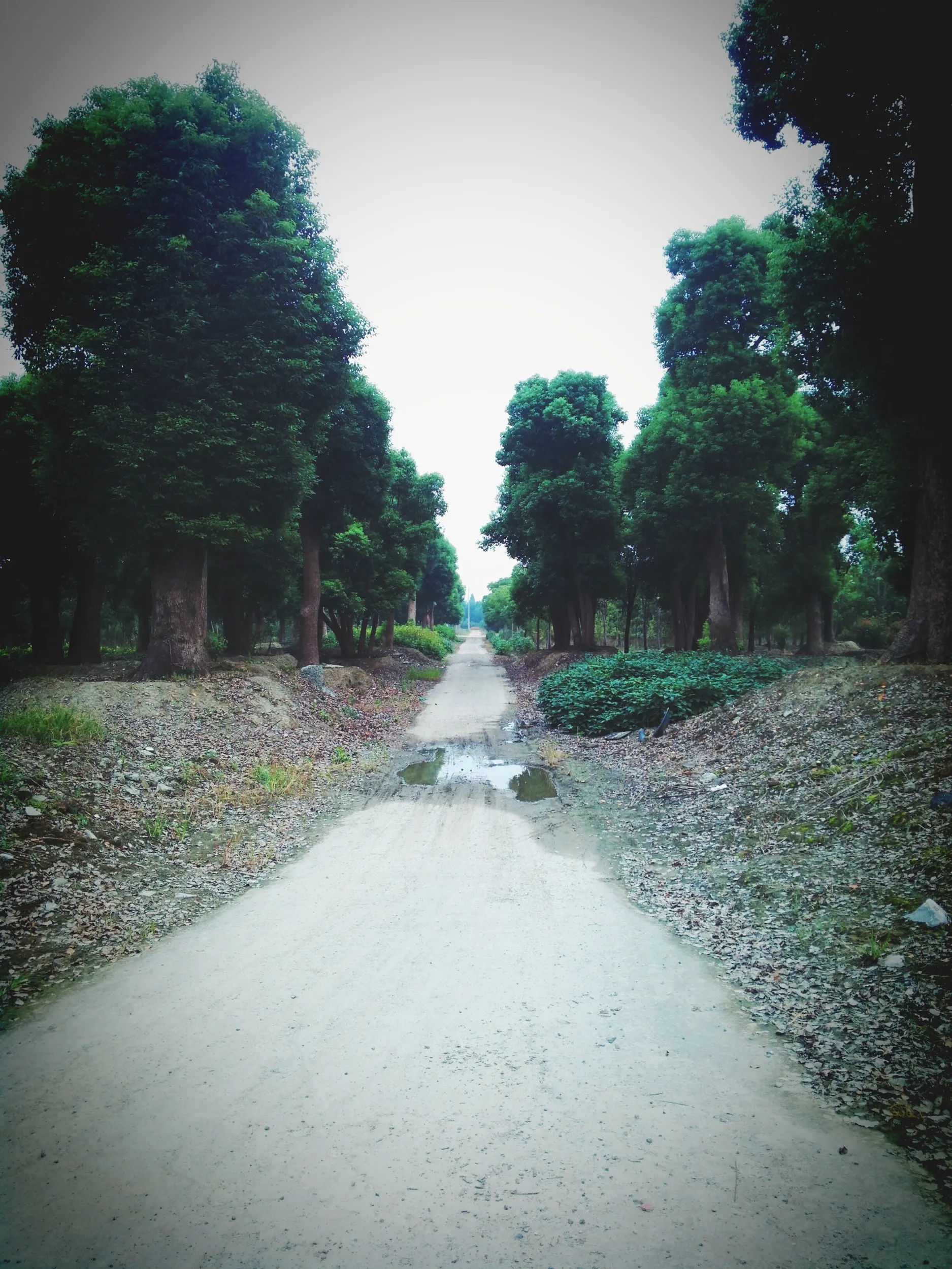 風景写真