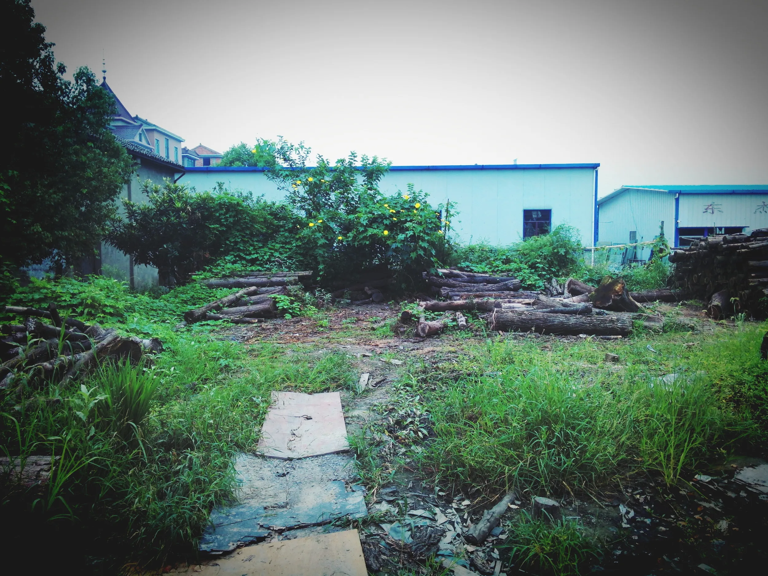 風景写真