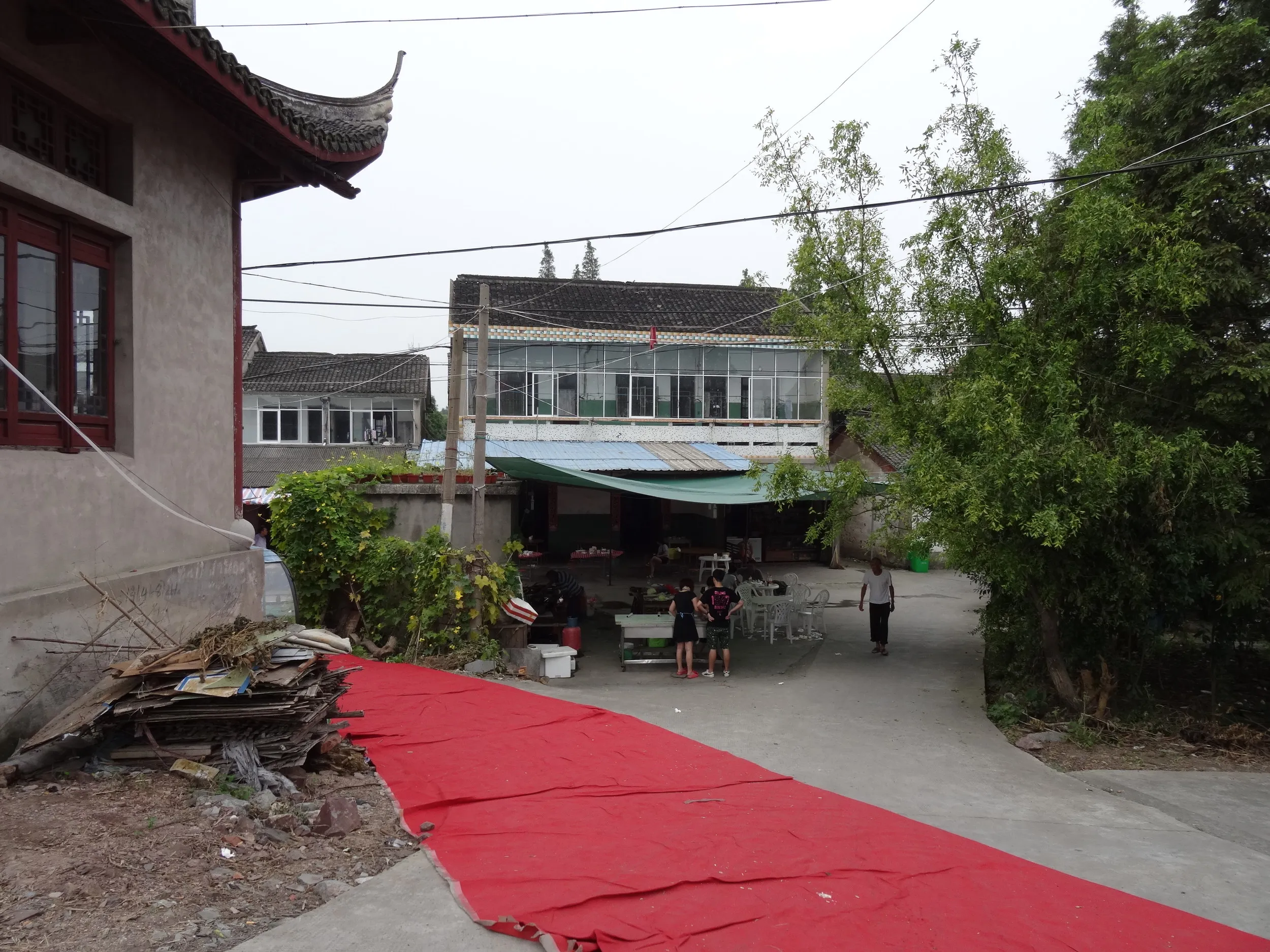 回頭潮