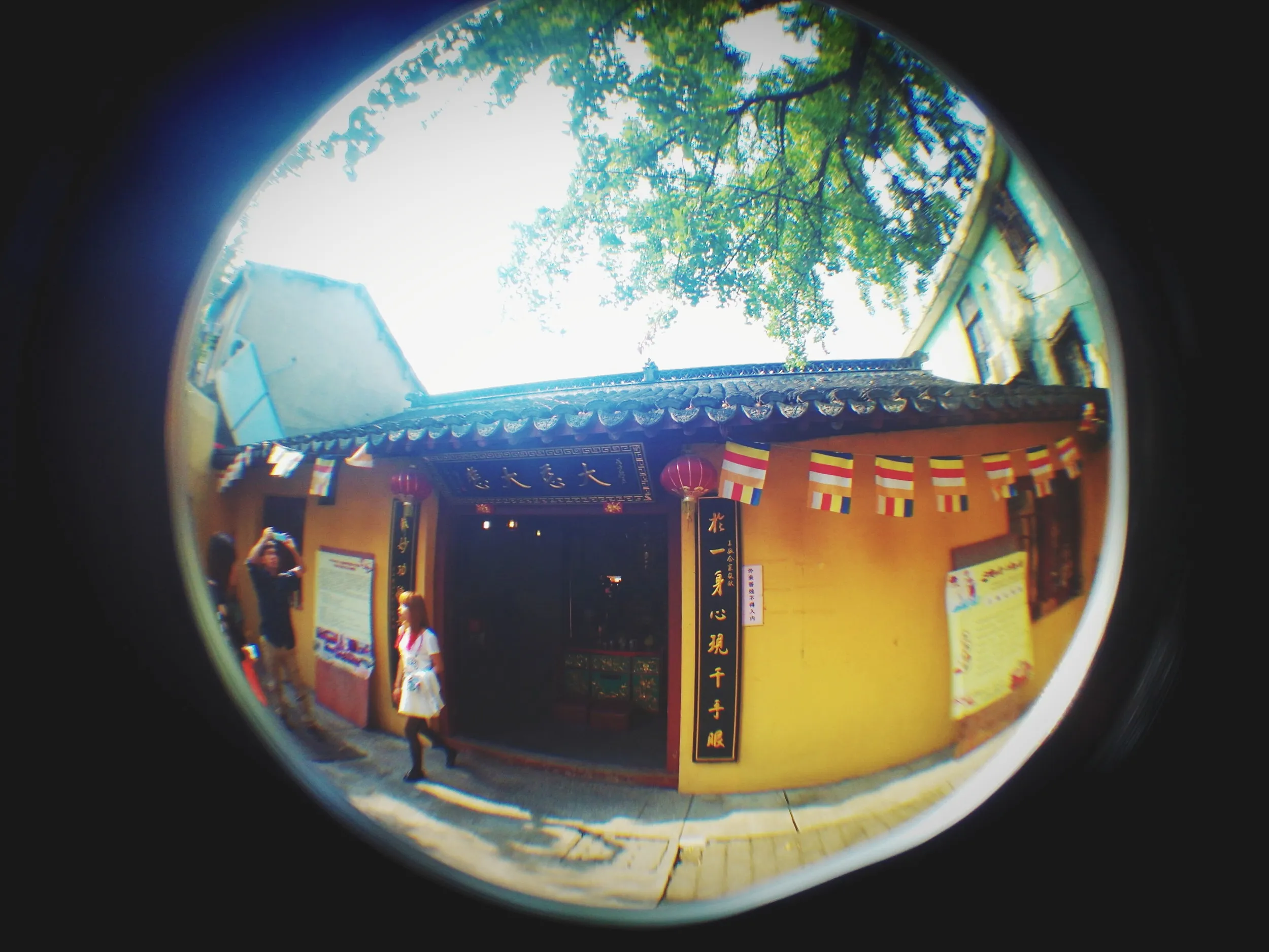 南七宝寺