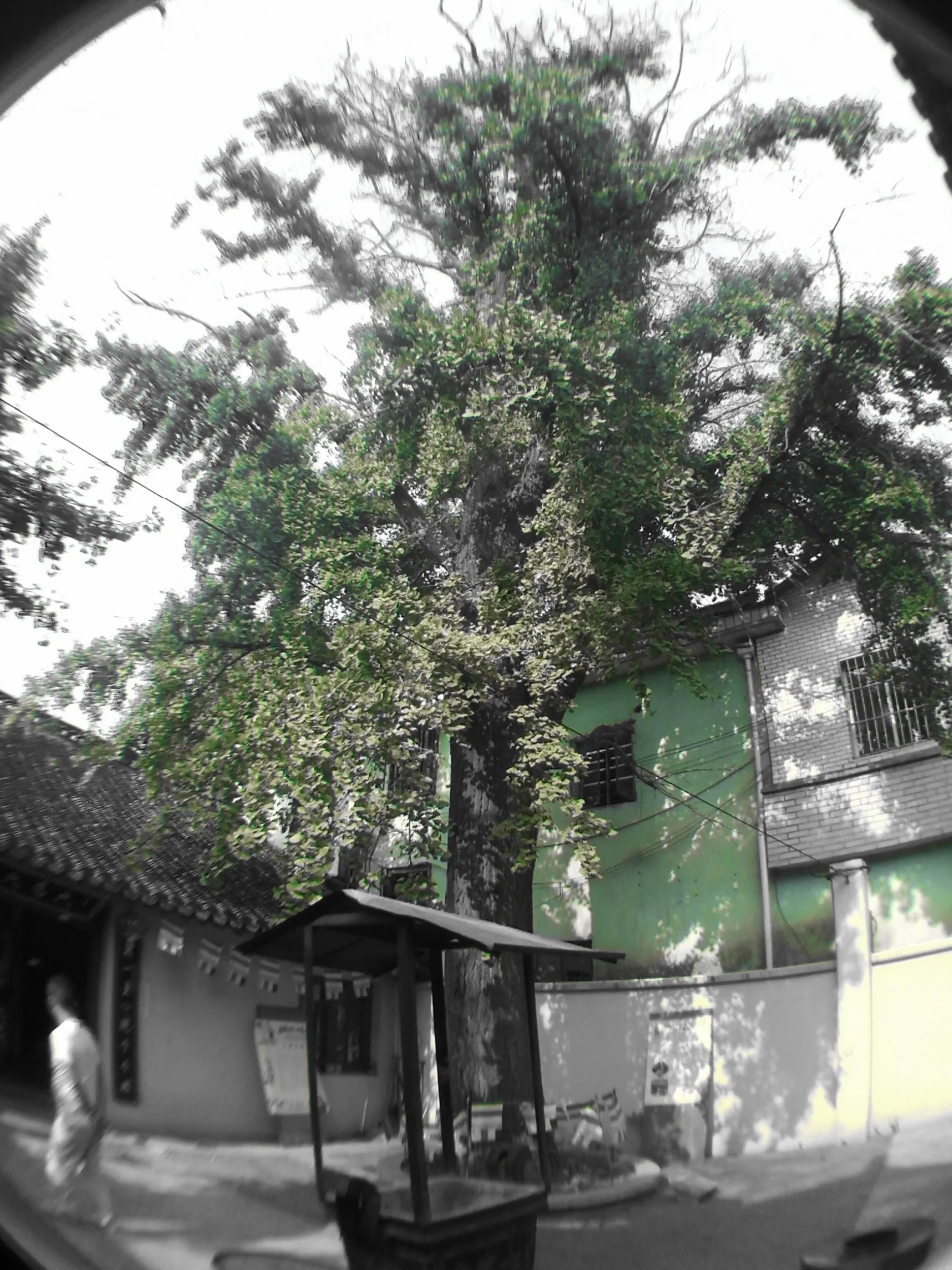 南七宝寺