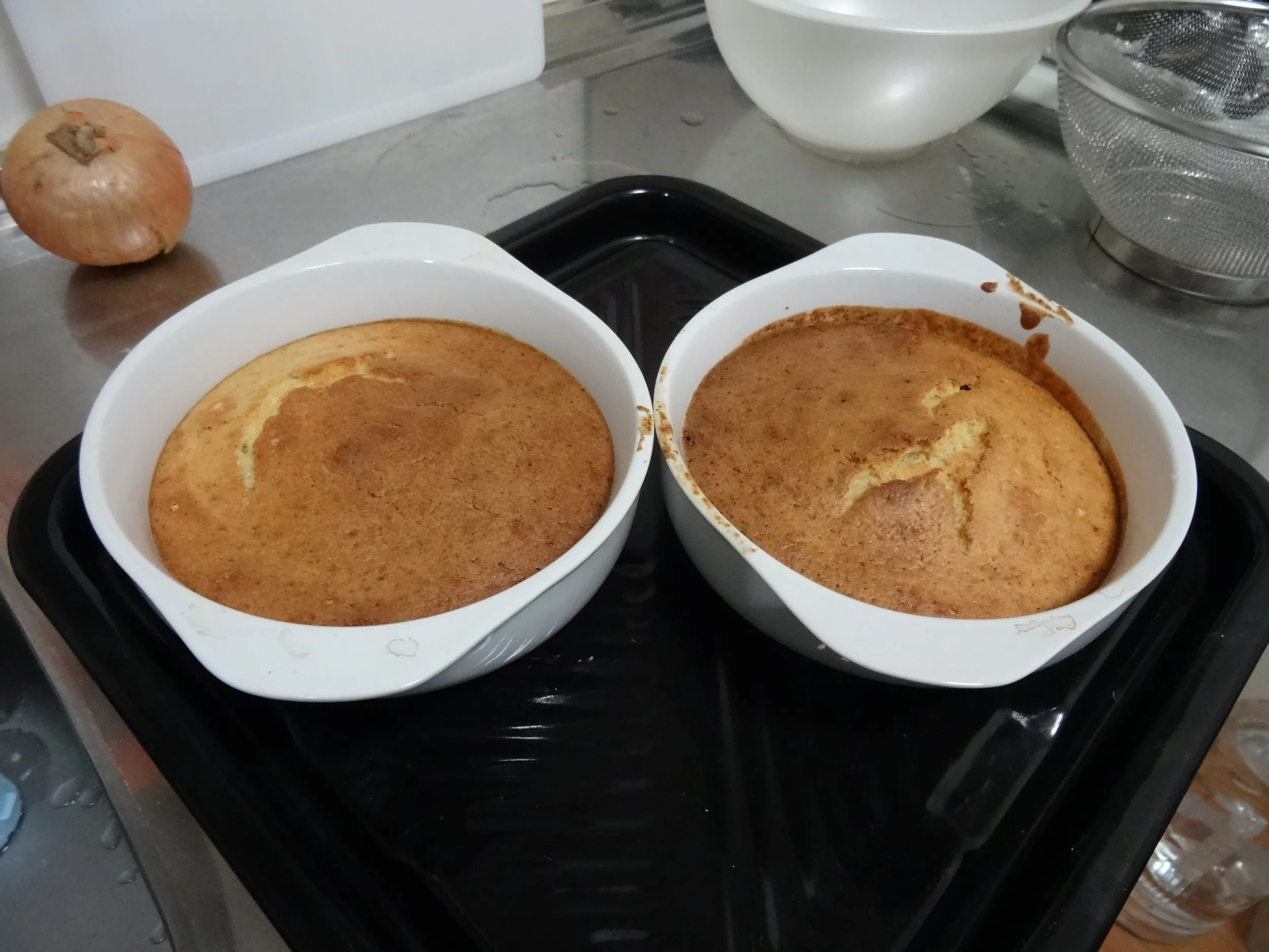 料理の写真