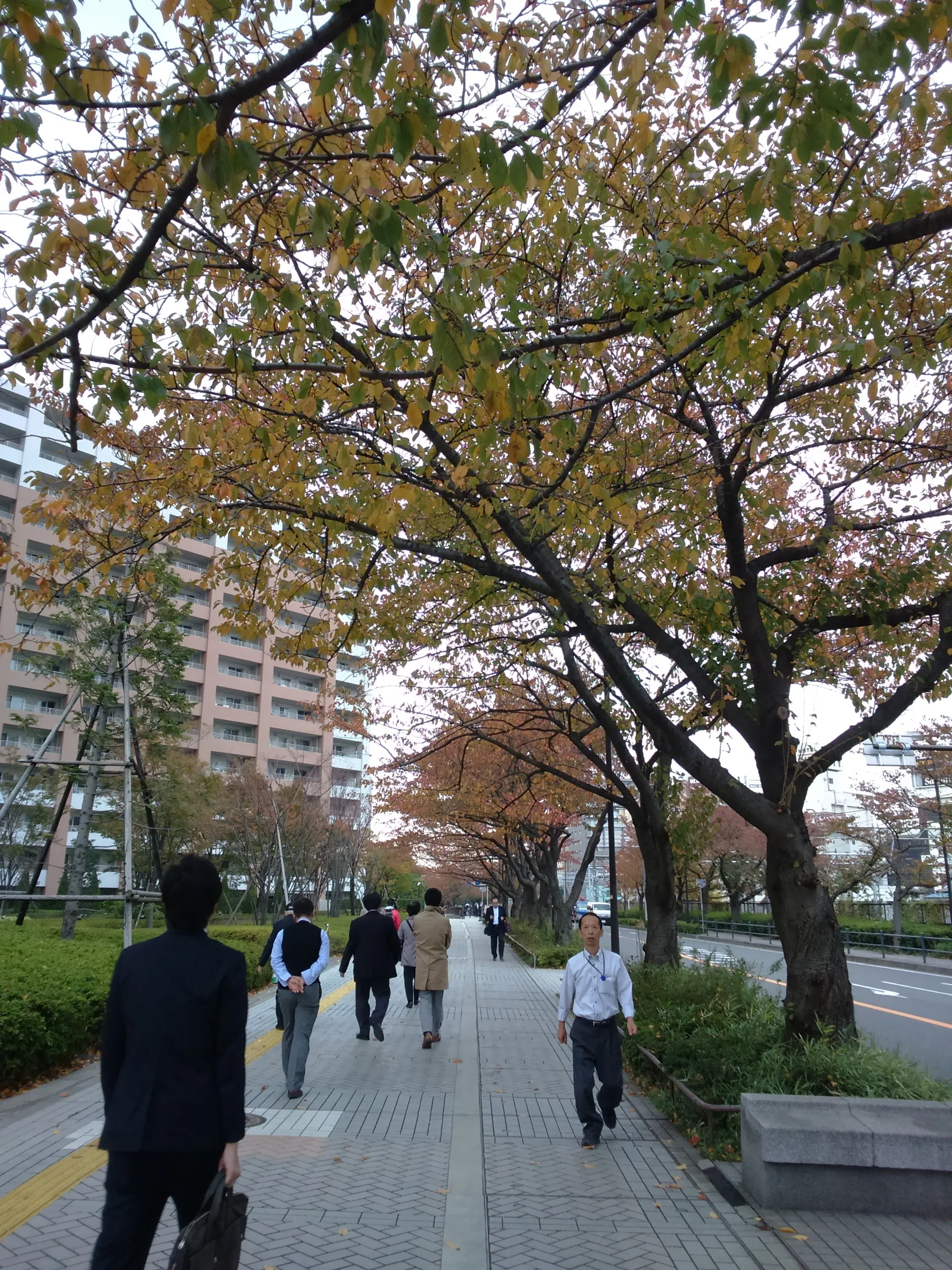 川崎の風景