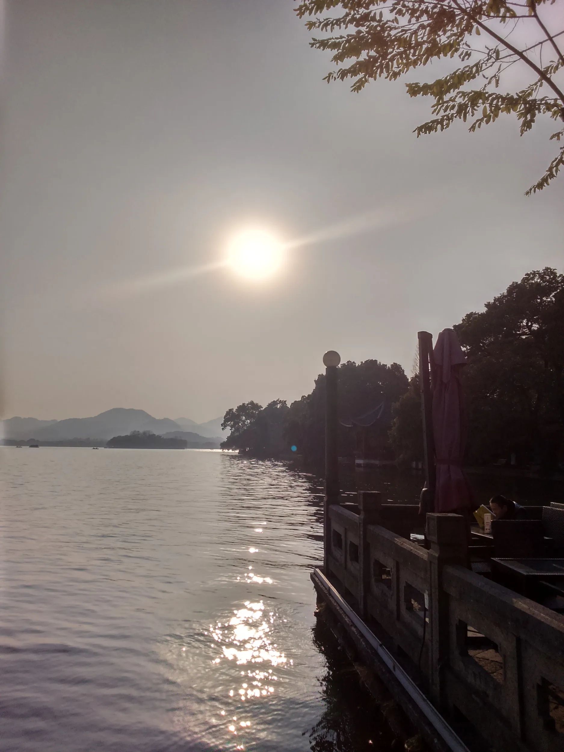 西湖の風景