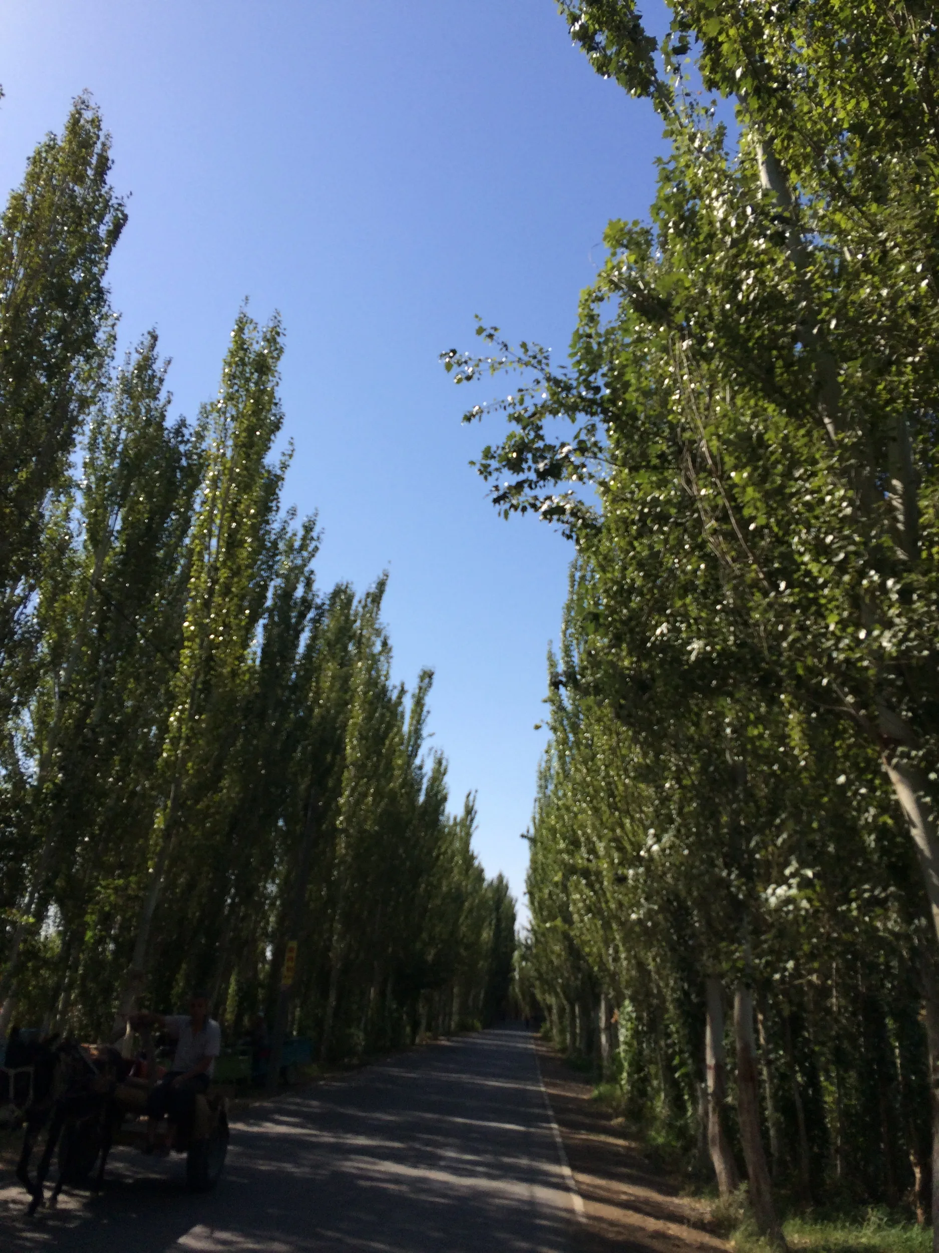 郊外の風景
