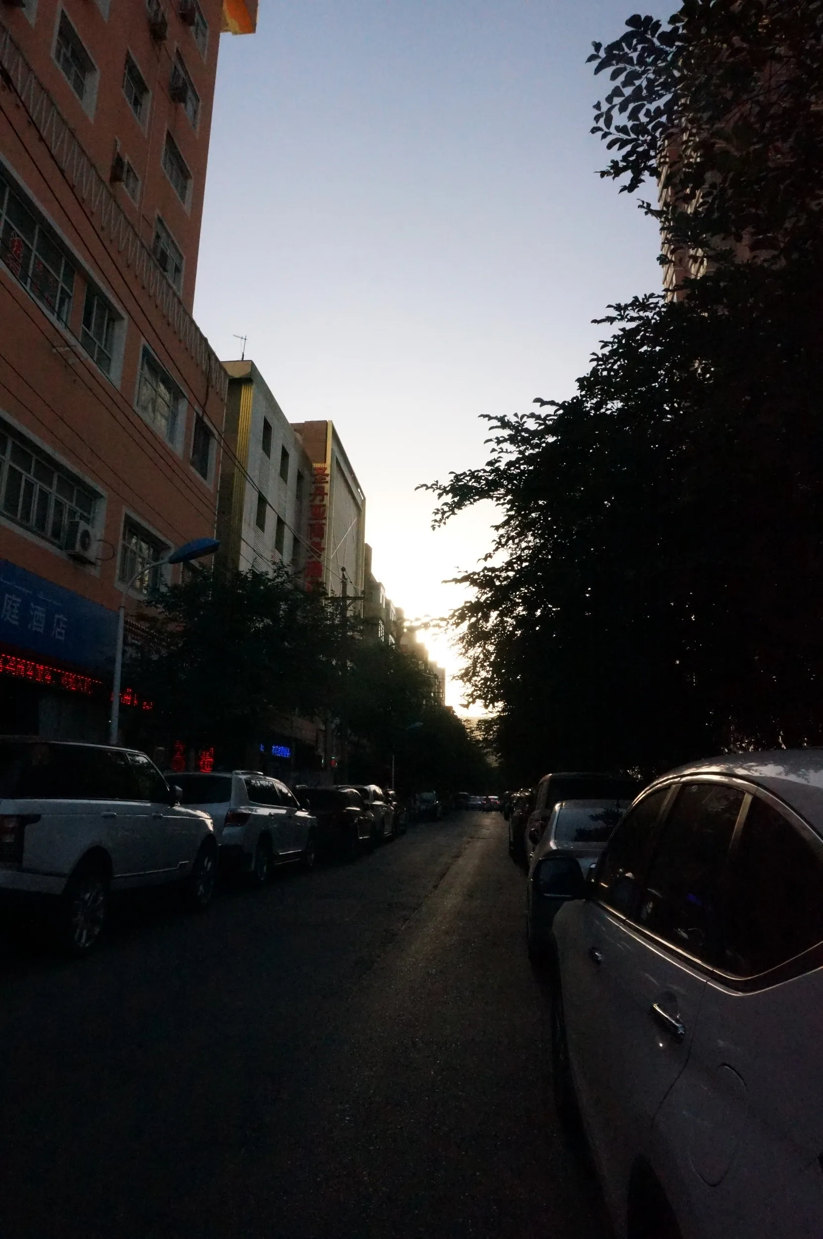 長江路を散歩