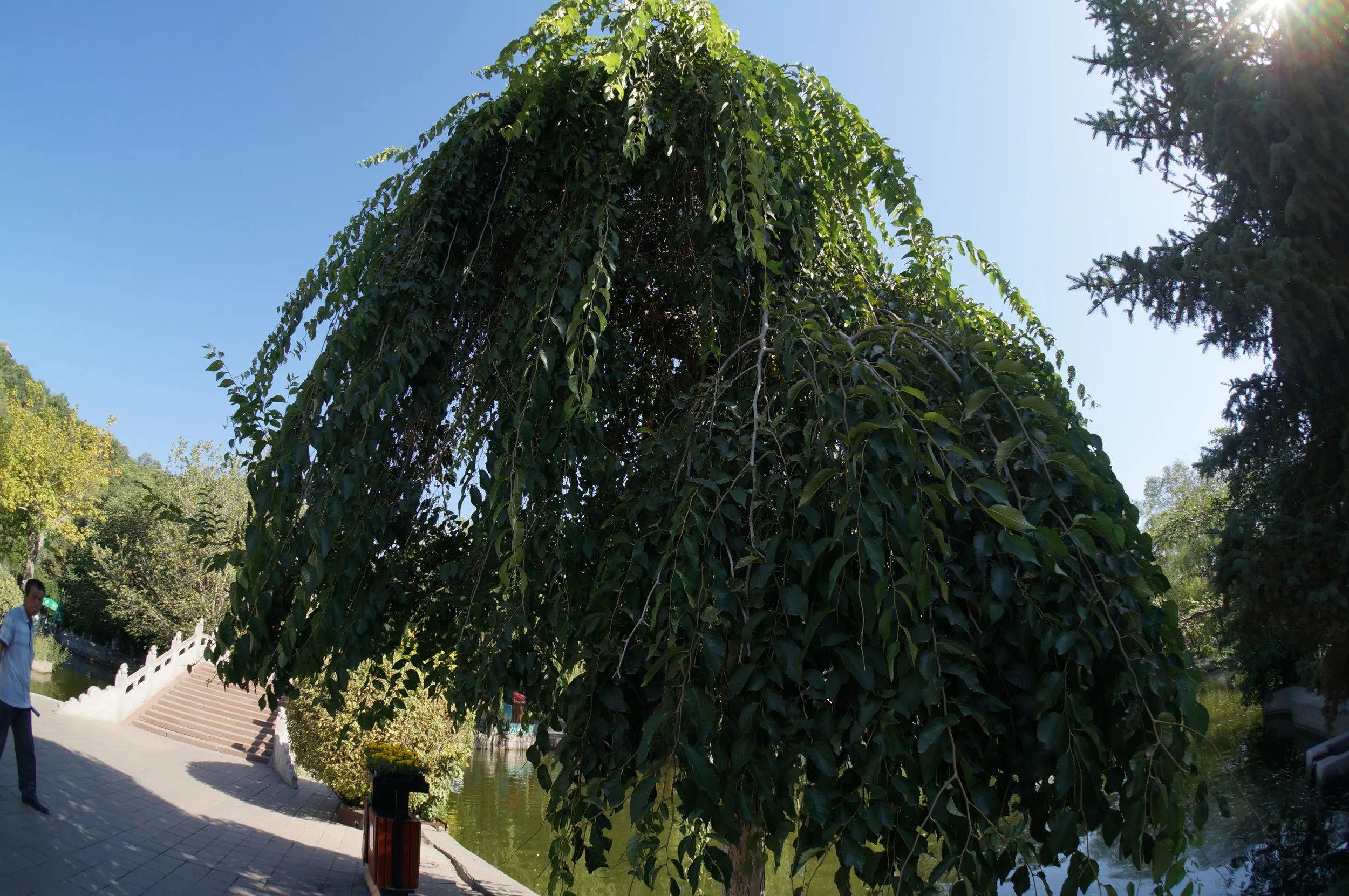 紅山公園観光