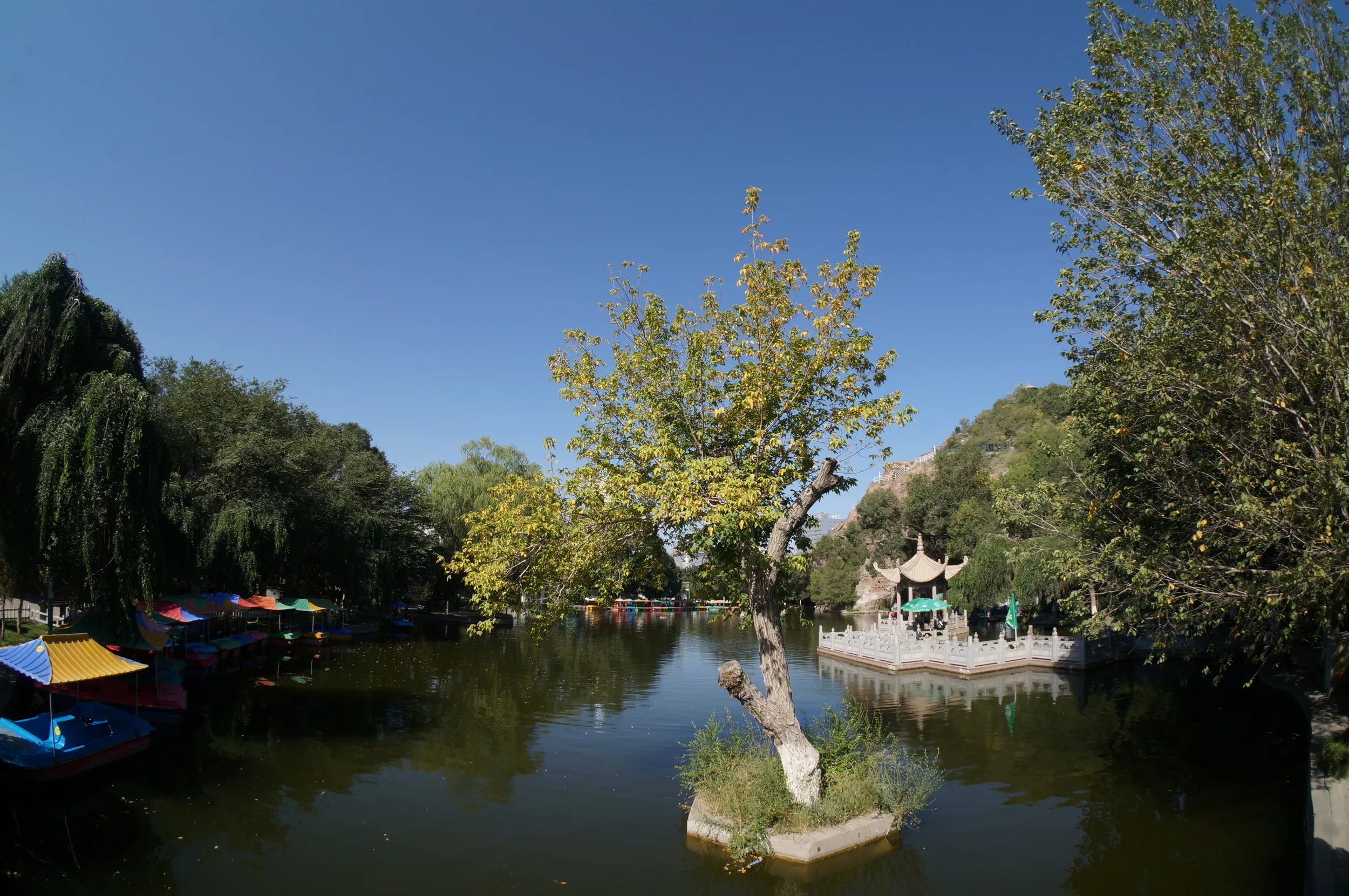 紅山公園の池