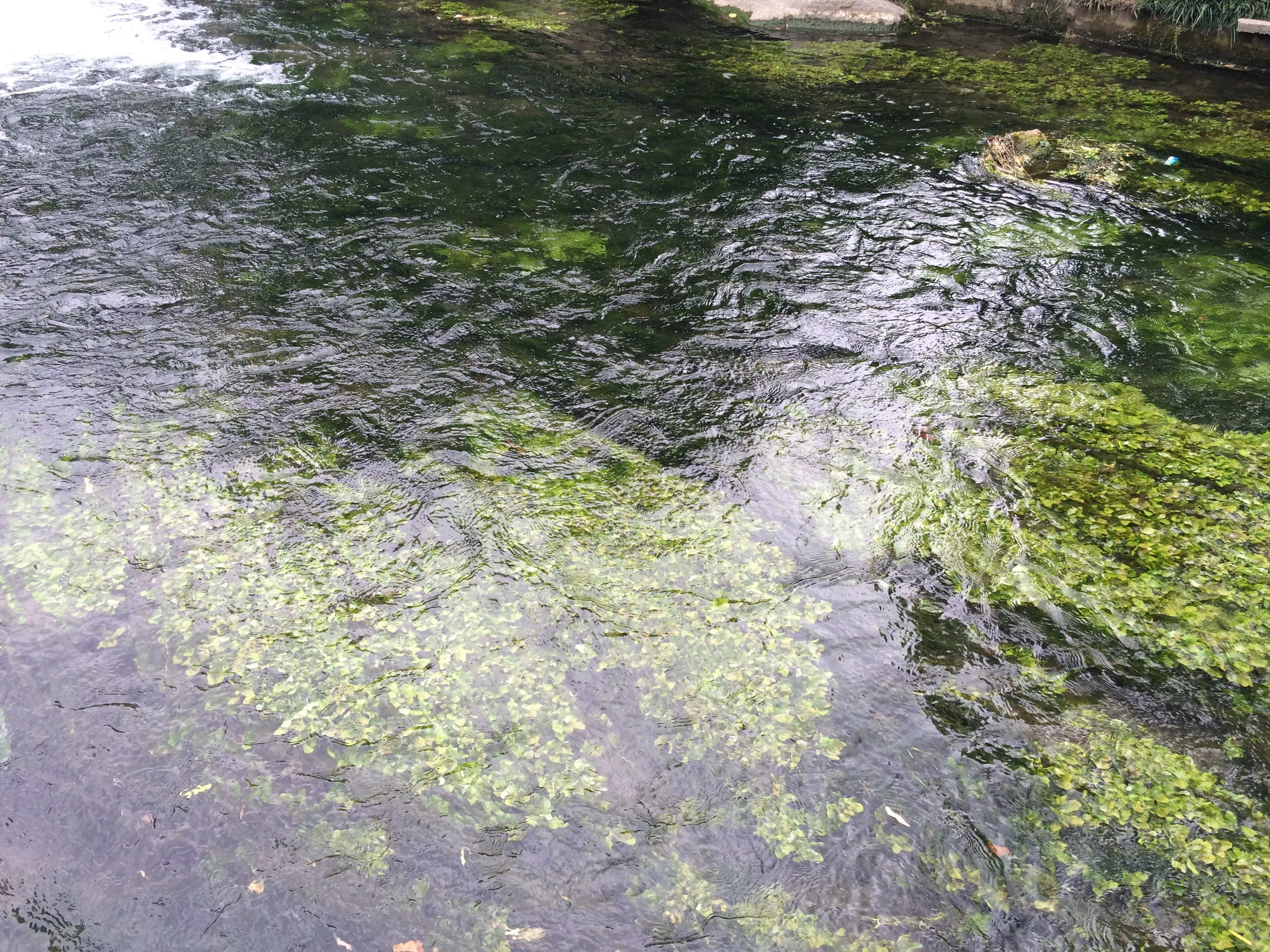 川の風景