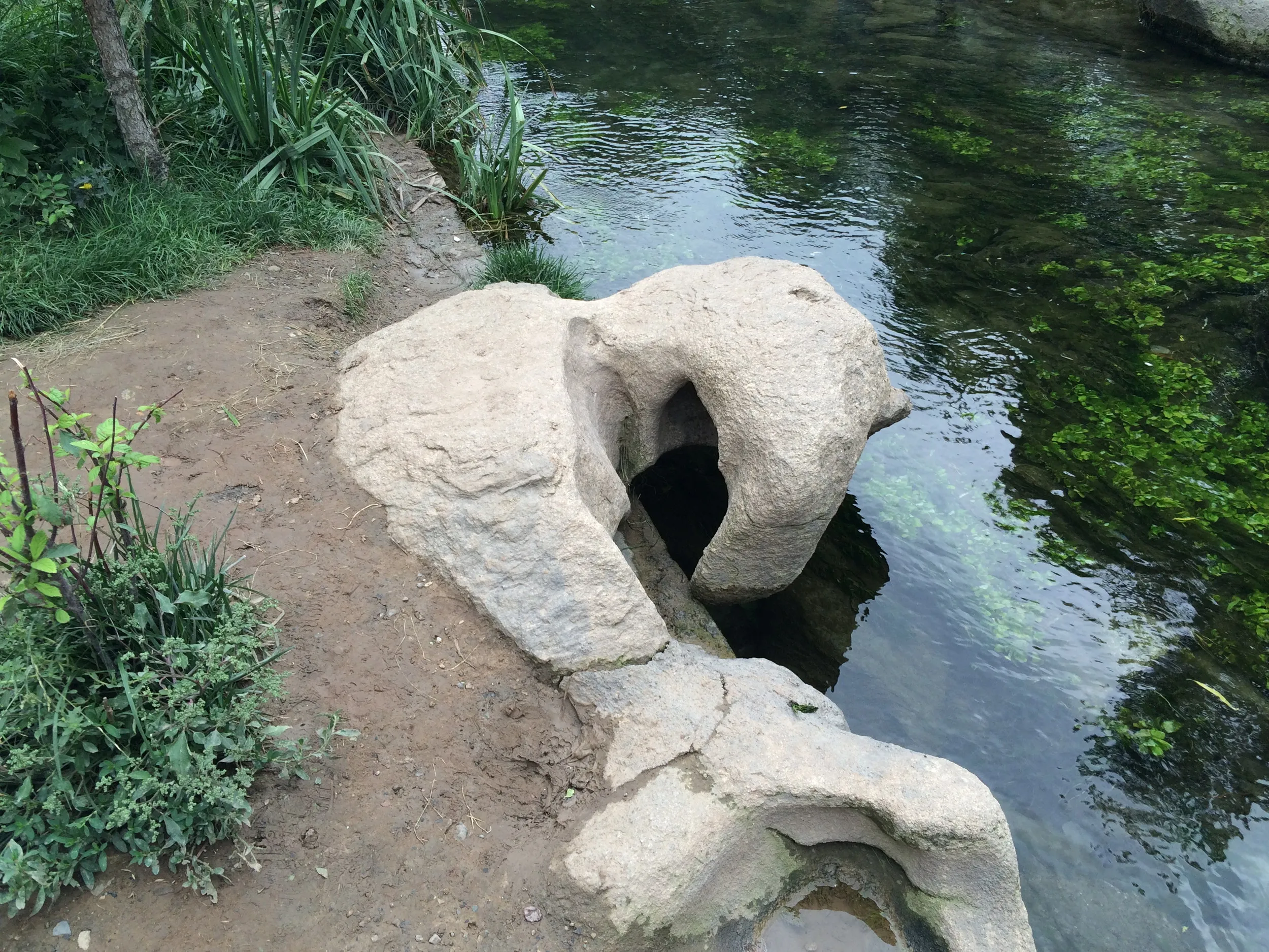 川の風景