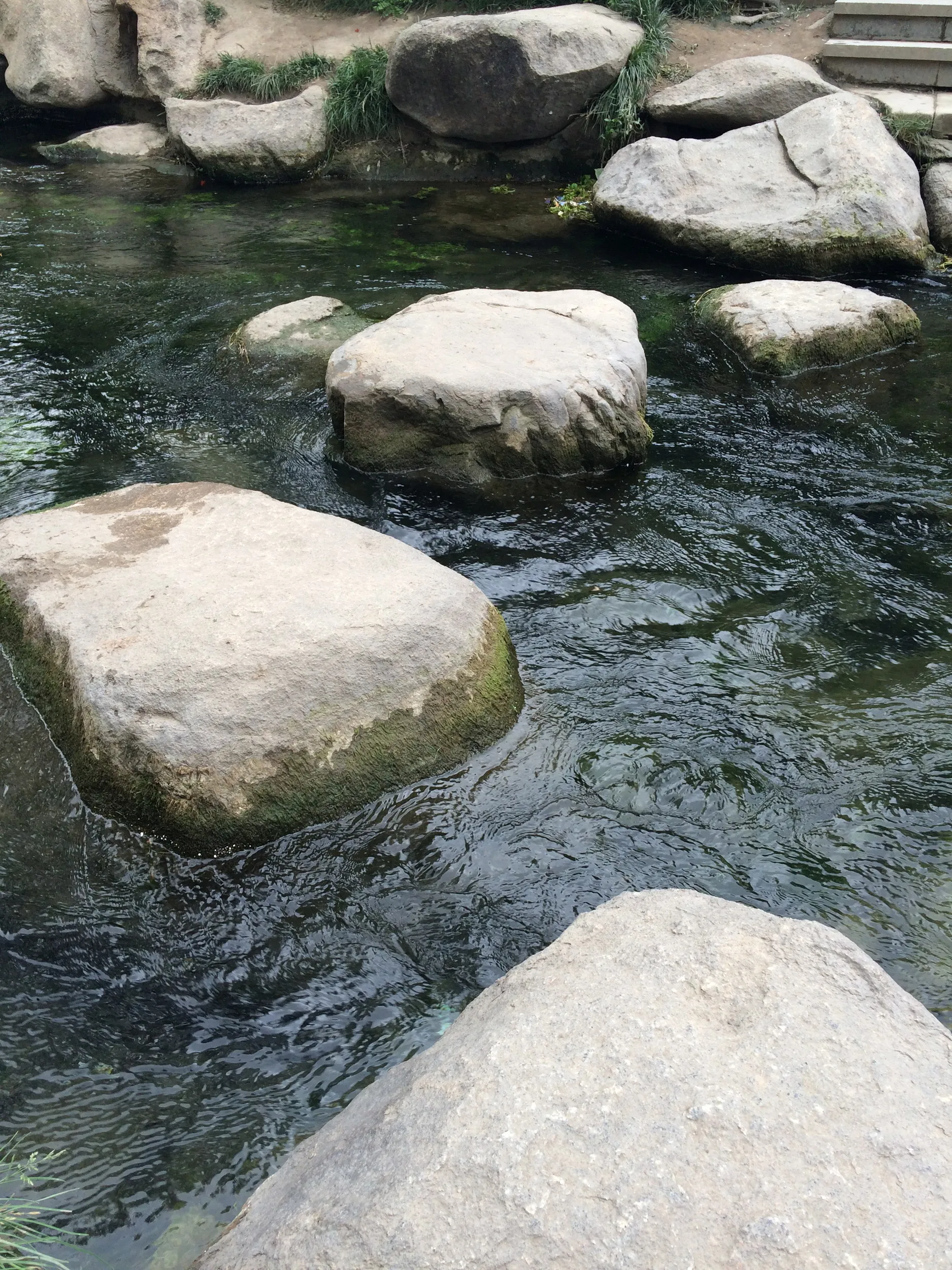 川の風景