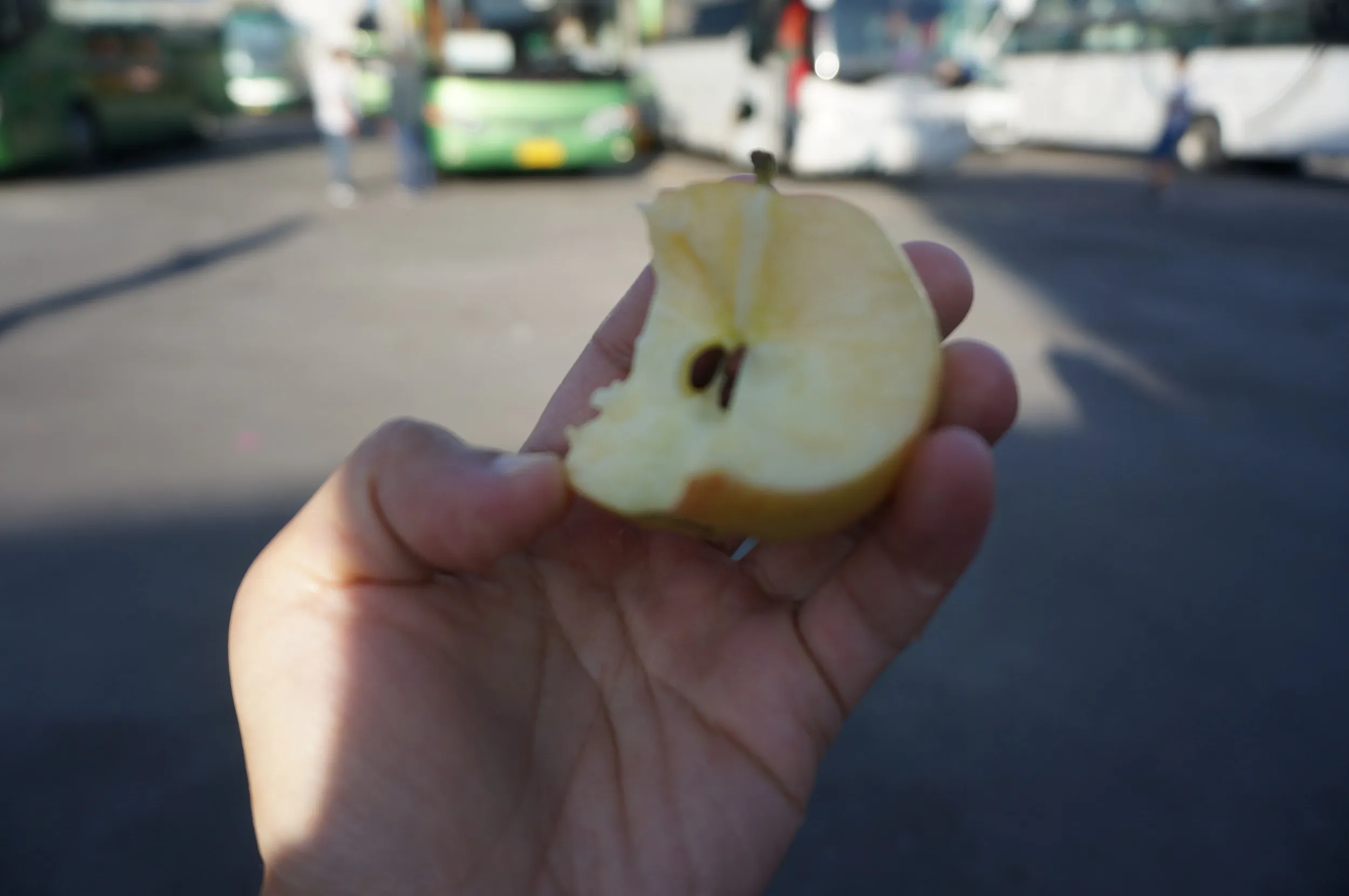 リンゴを食す