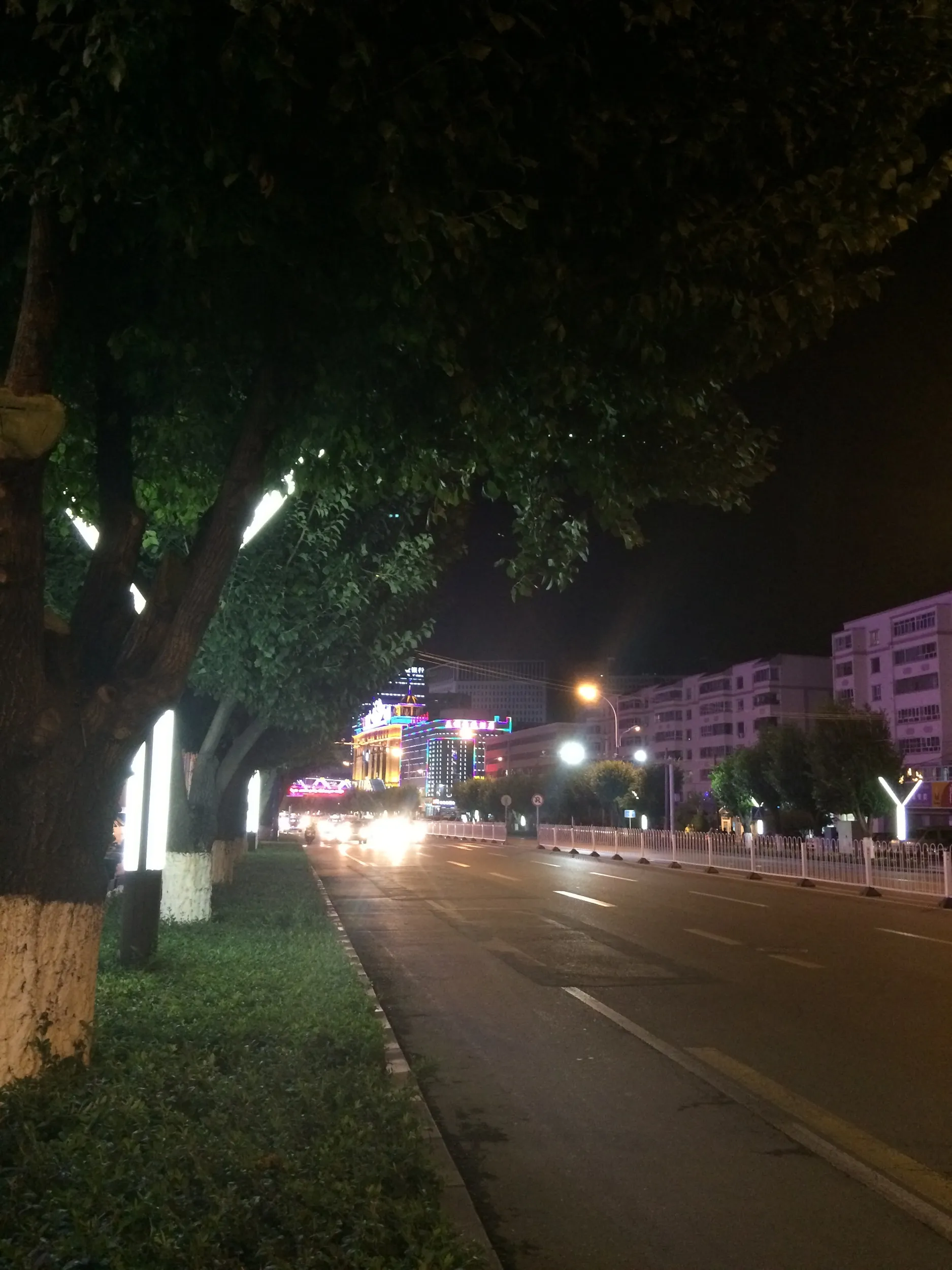 夜の伊寧
