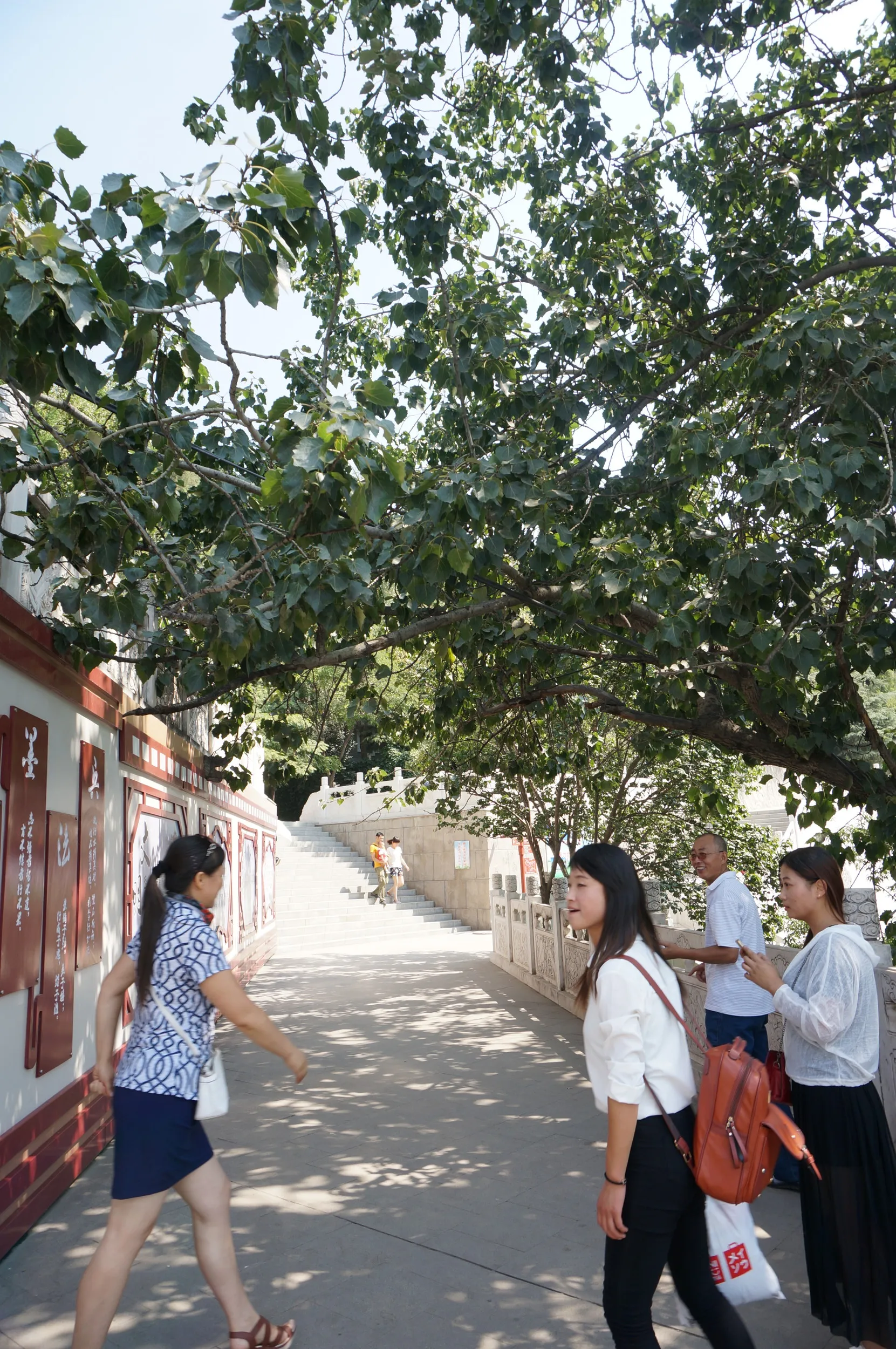 白塔山公園を散歩