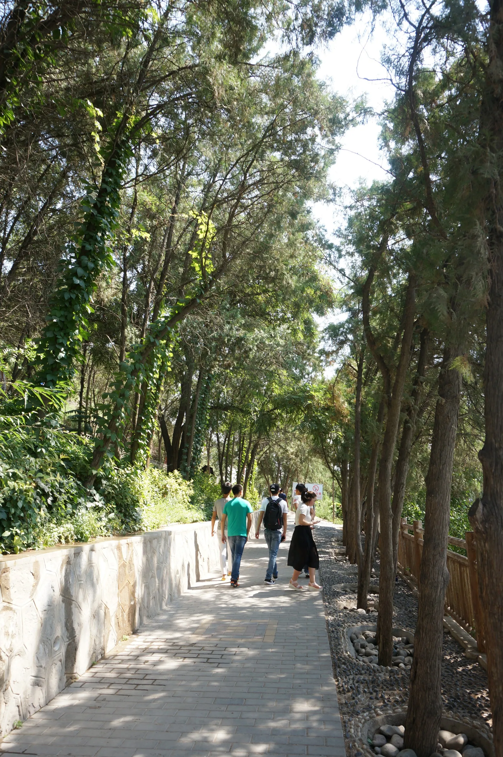 白塔山公園