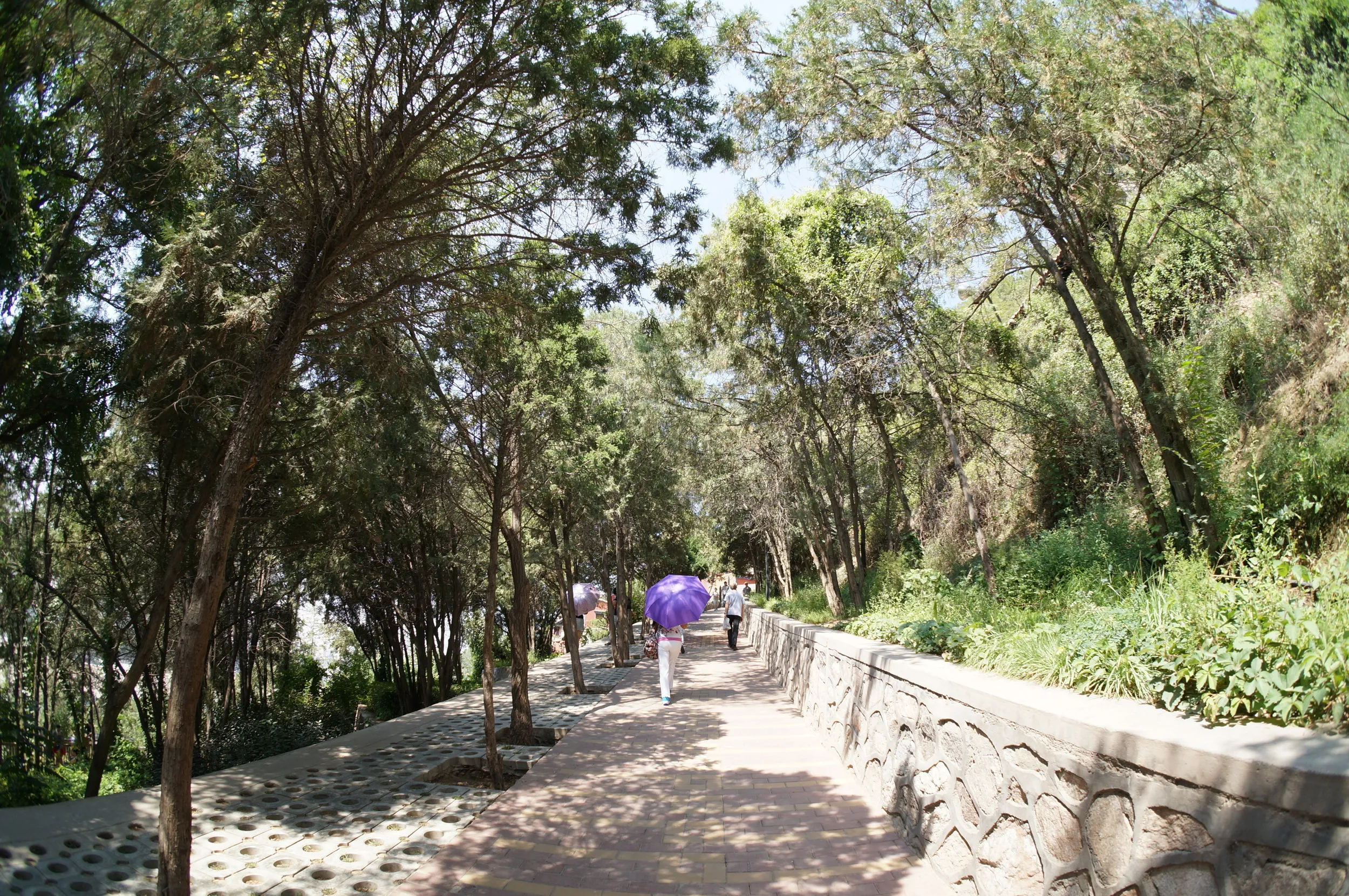 白塔山公園