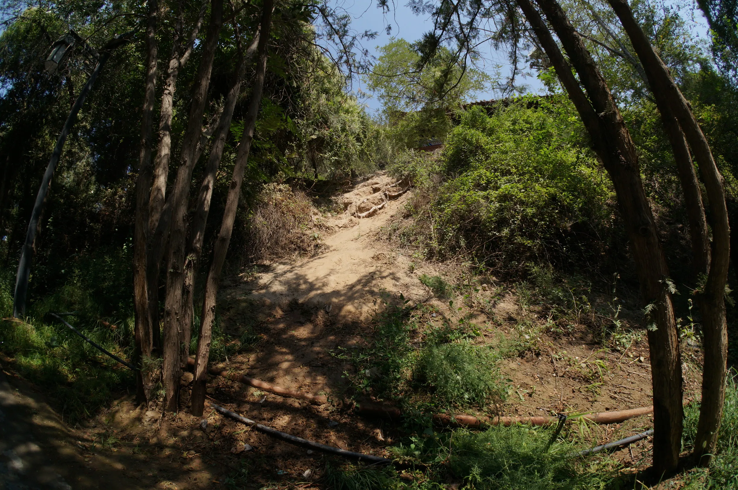 白塔山公園