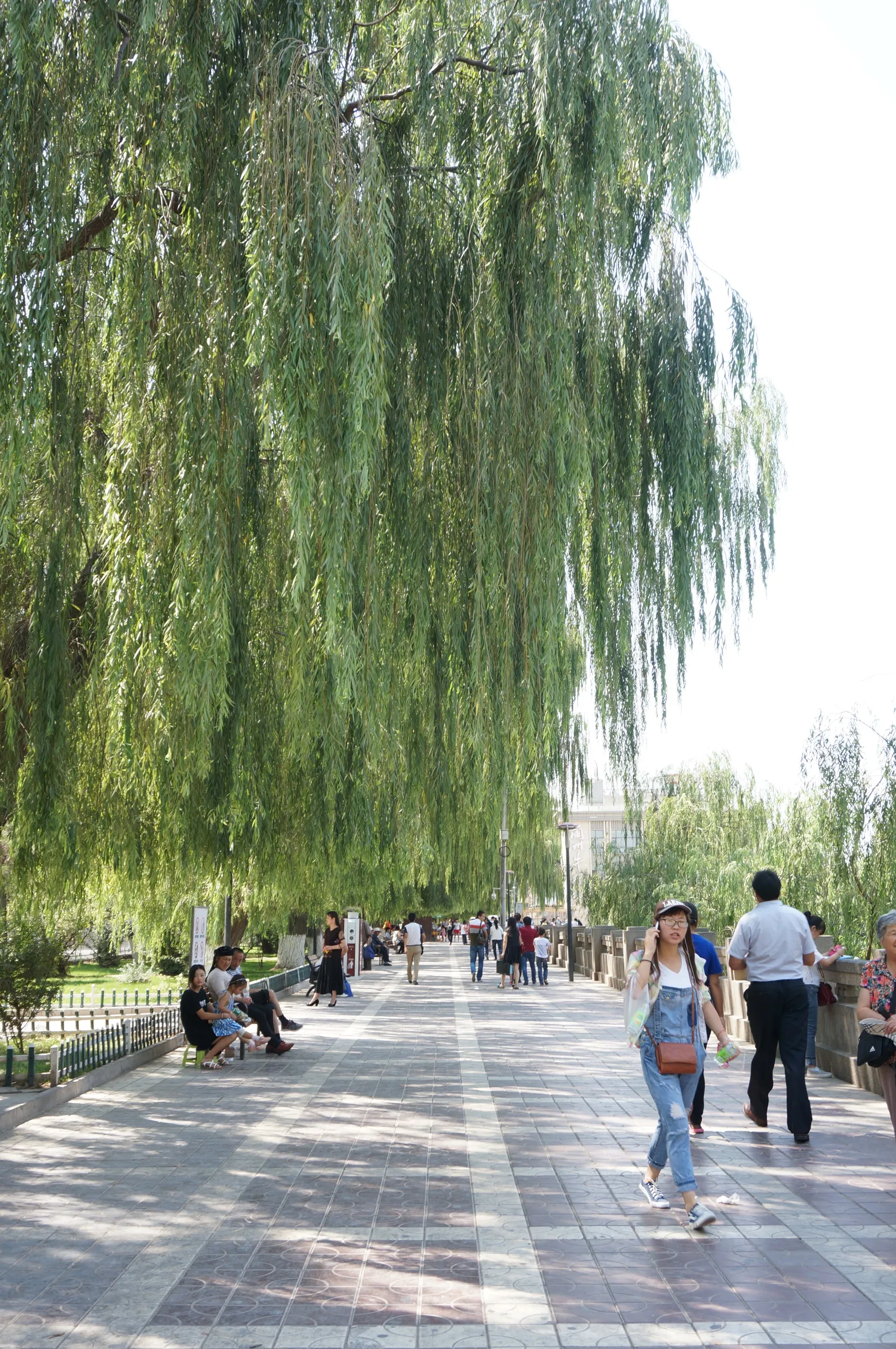 中山橋、黄河の河岸