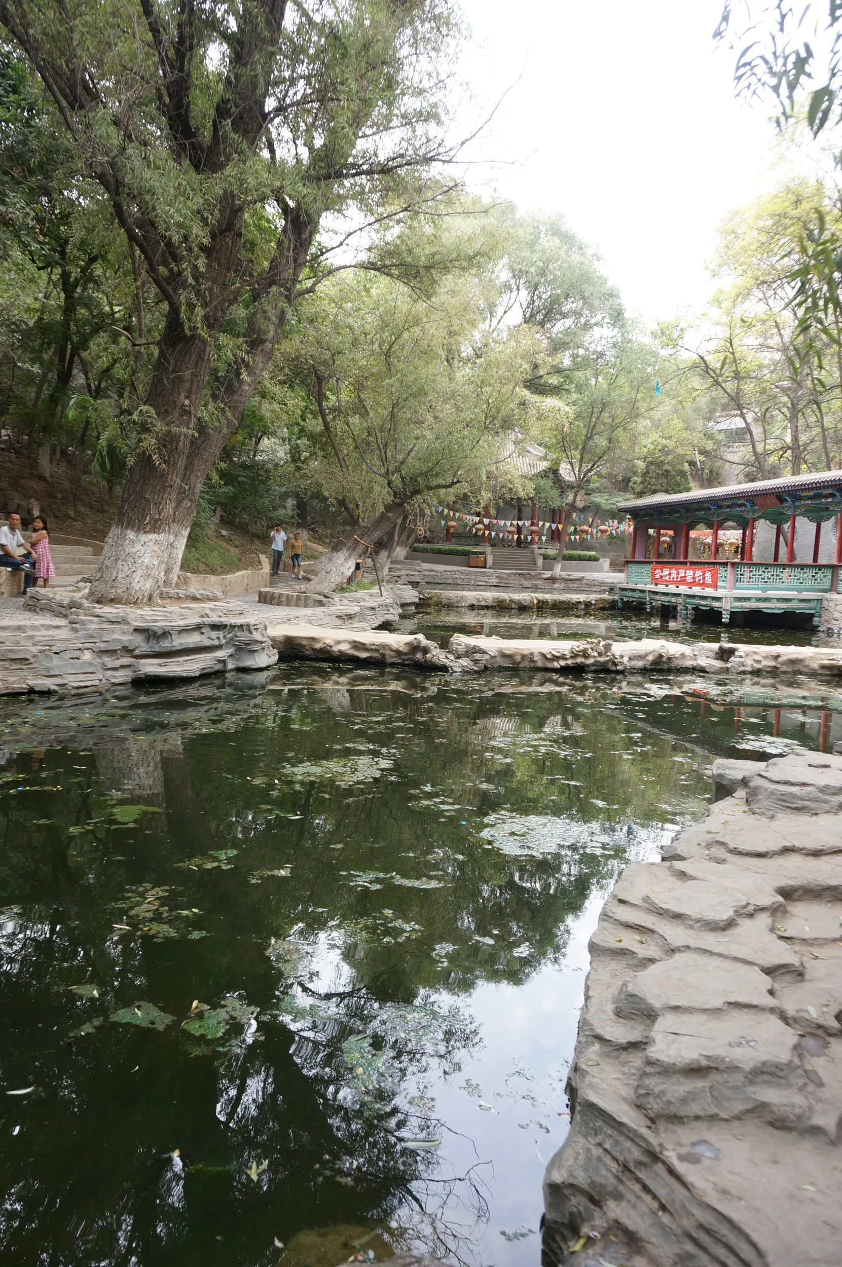 五泉山公園にある池