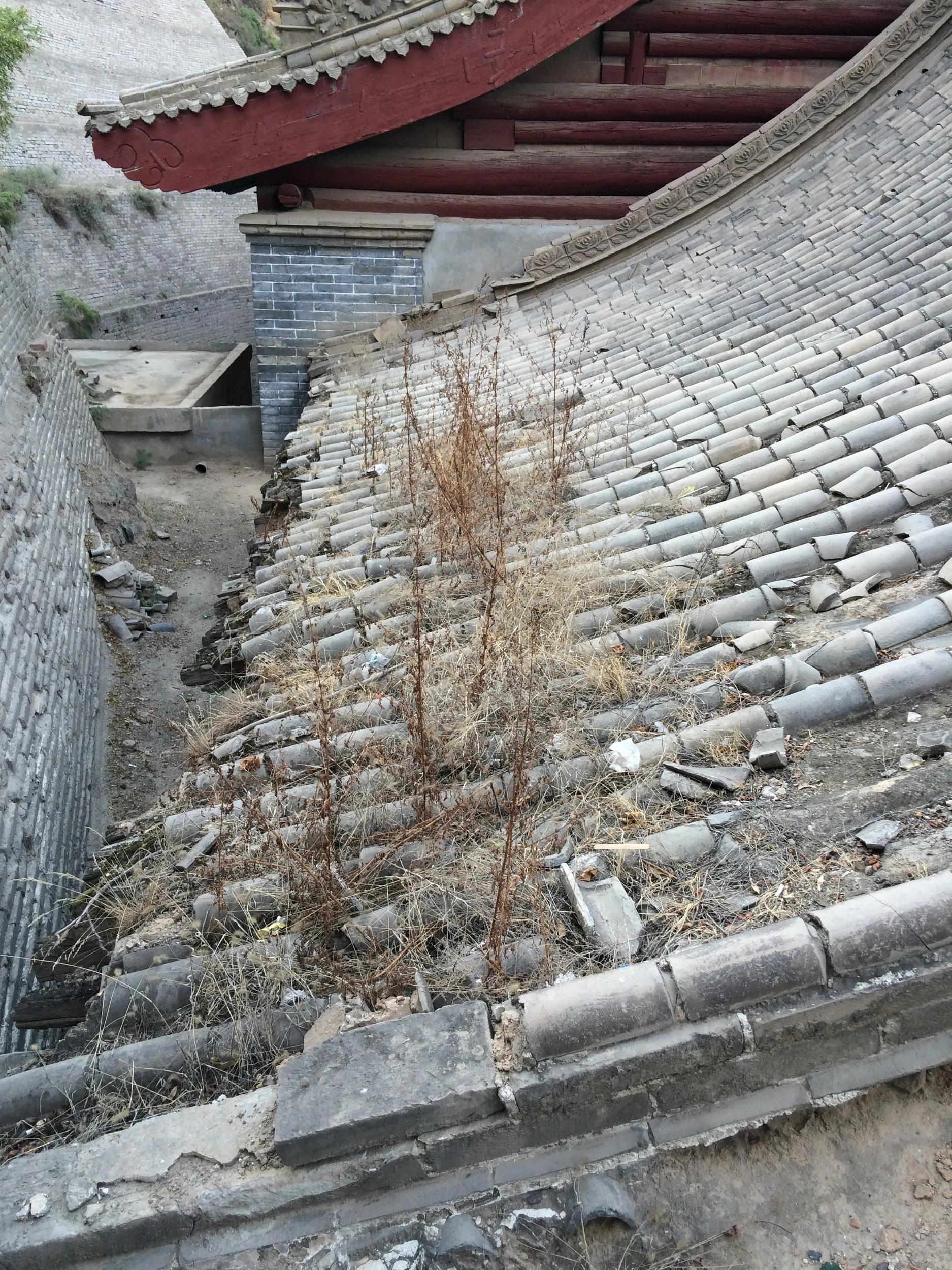 マニ寺の屋根に生えている草