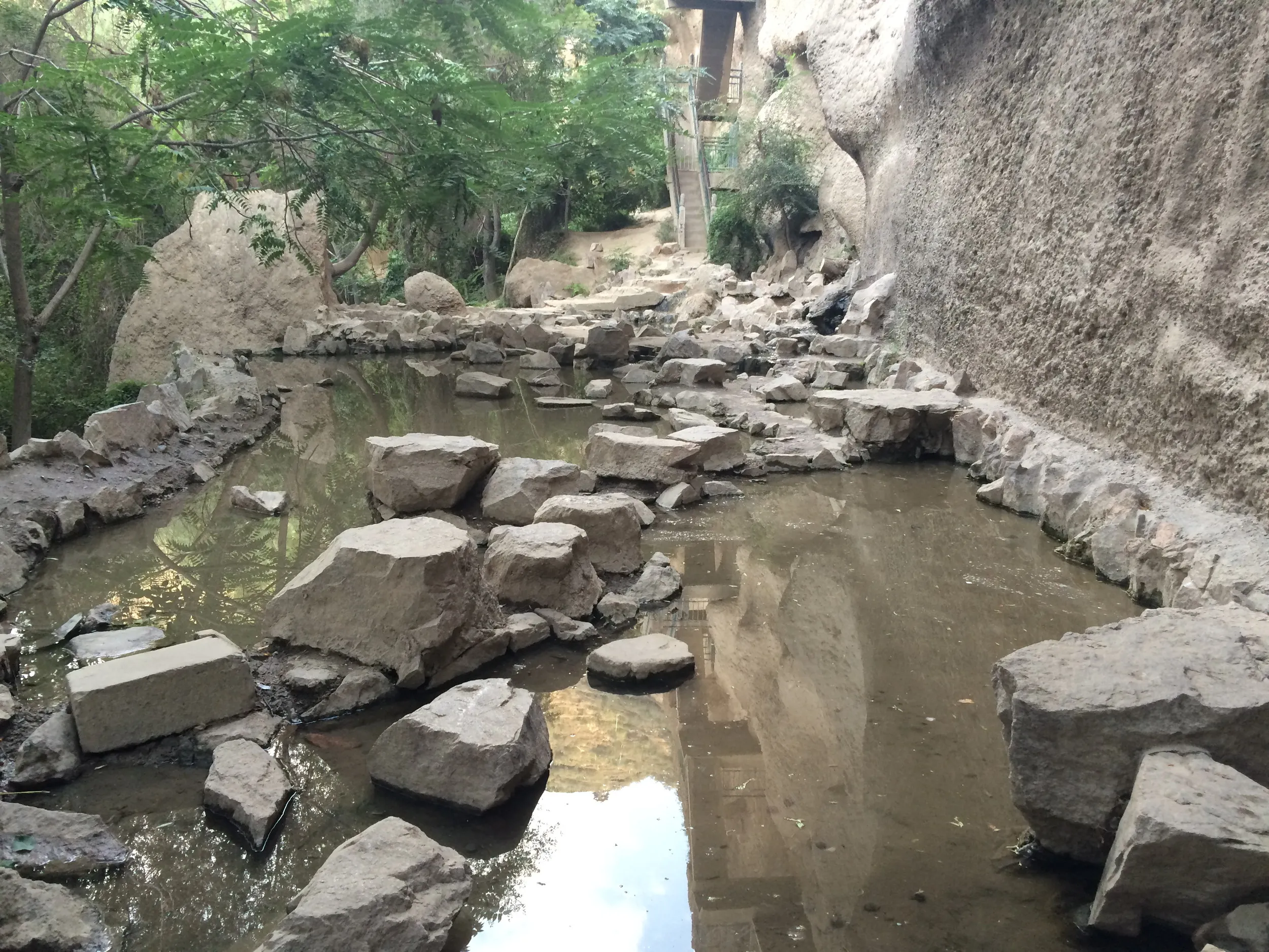 水が湧き出ている場所