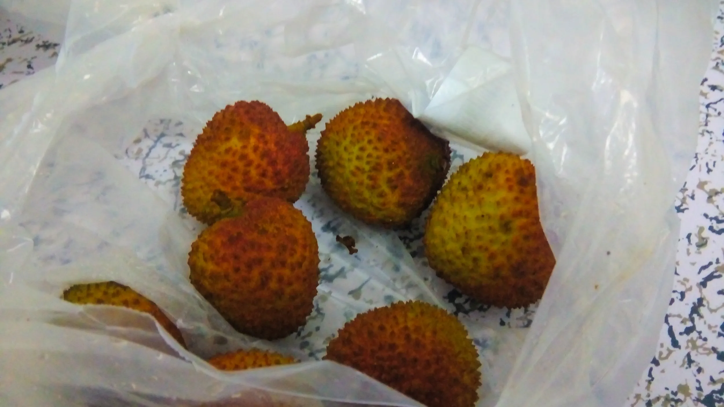 ライチ