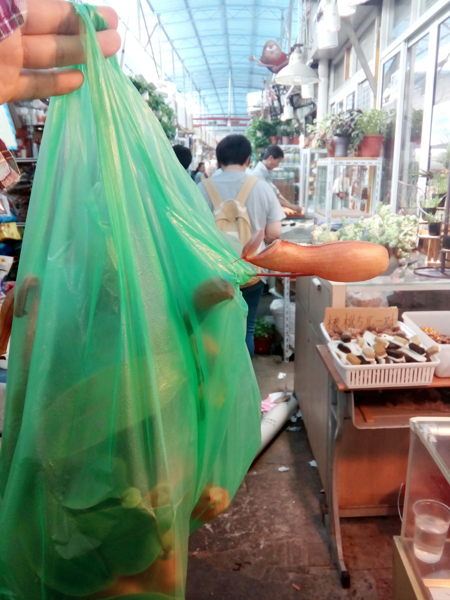 部屋の様子