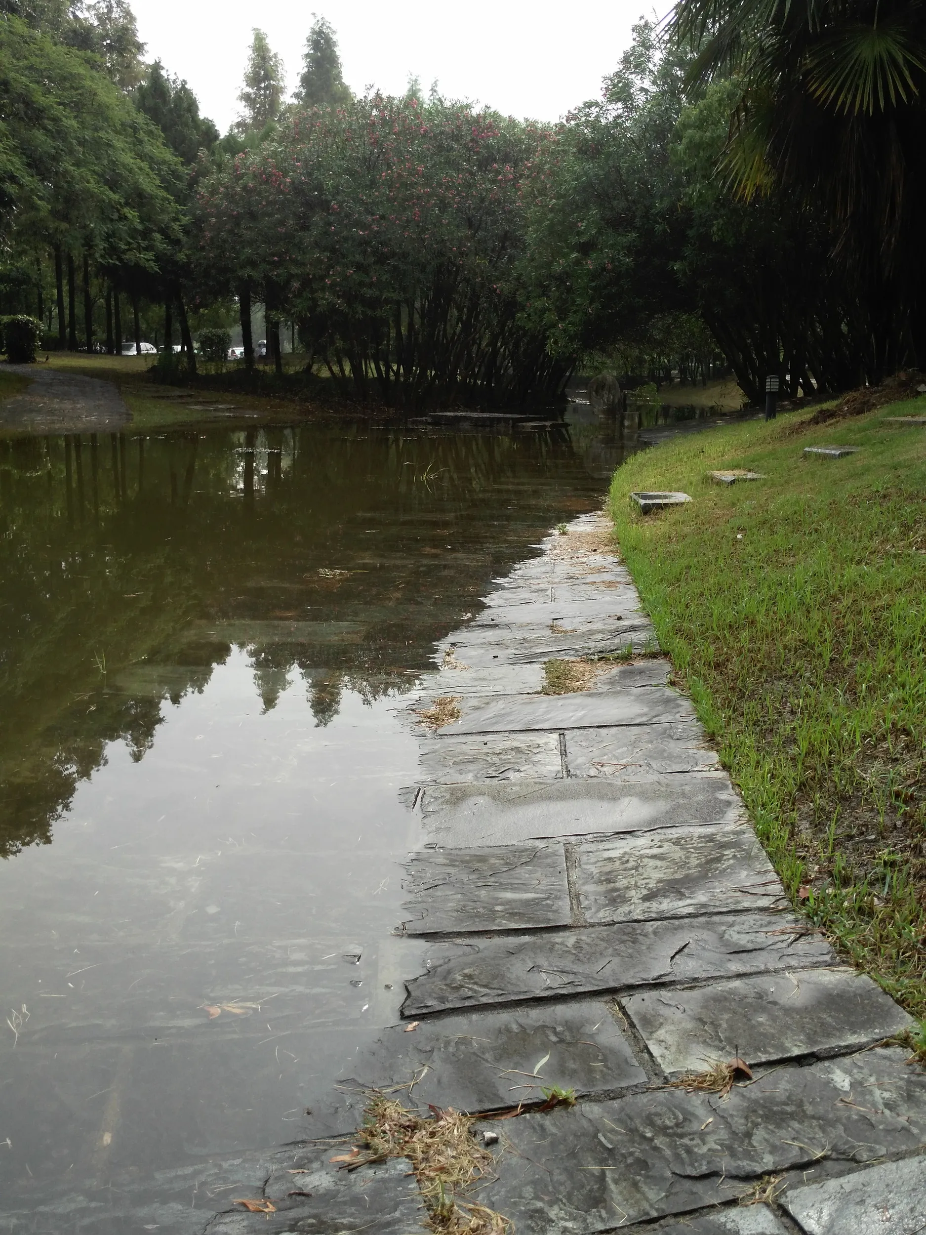 水没した歩道