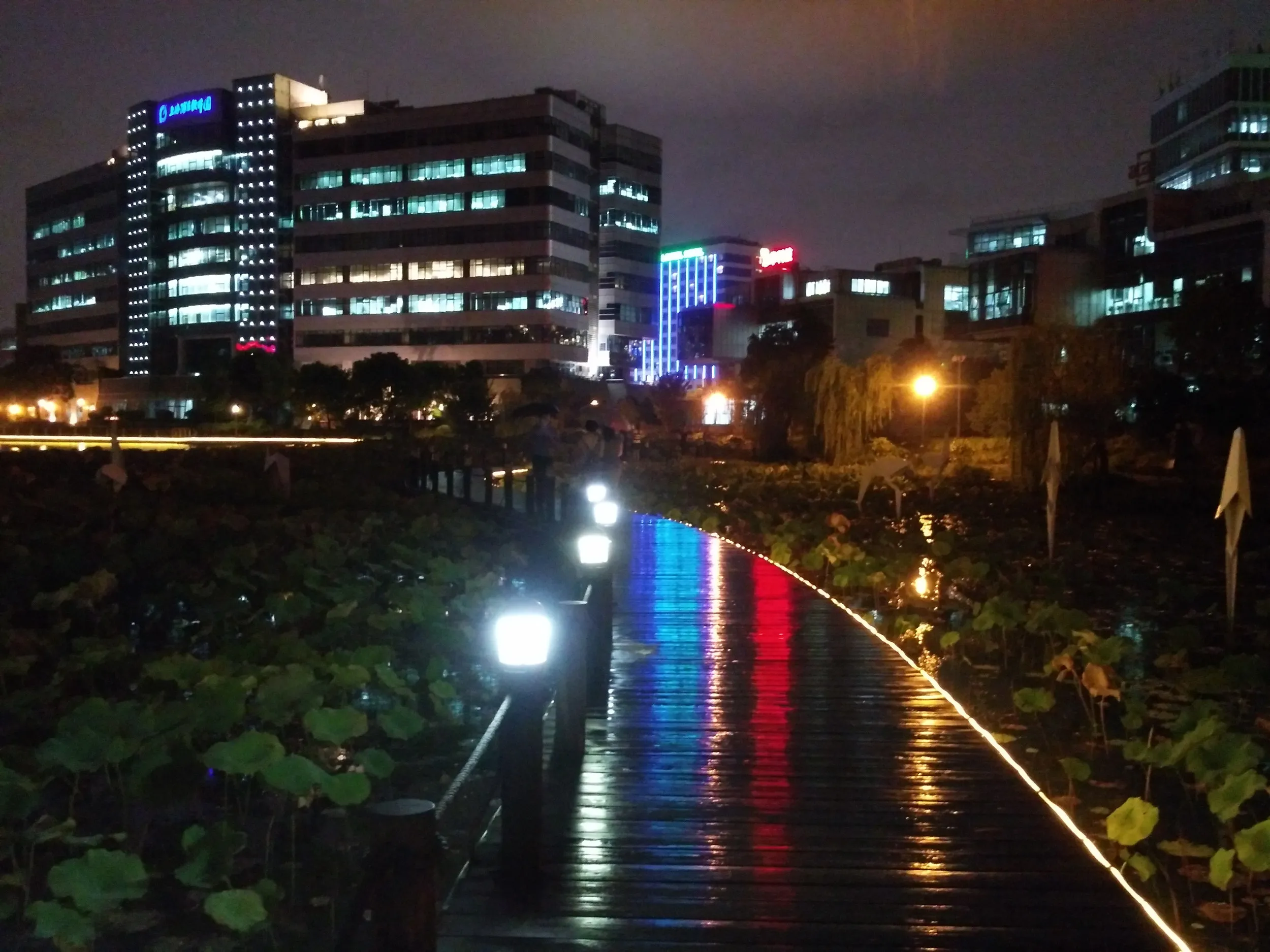 雨の日の散歩