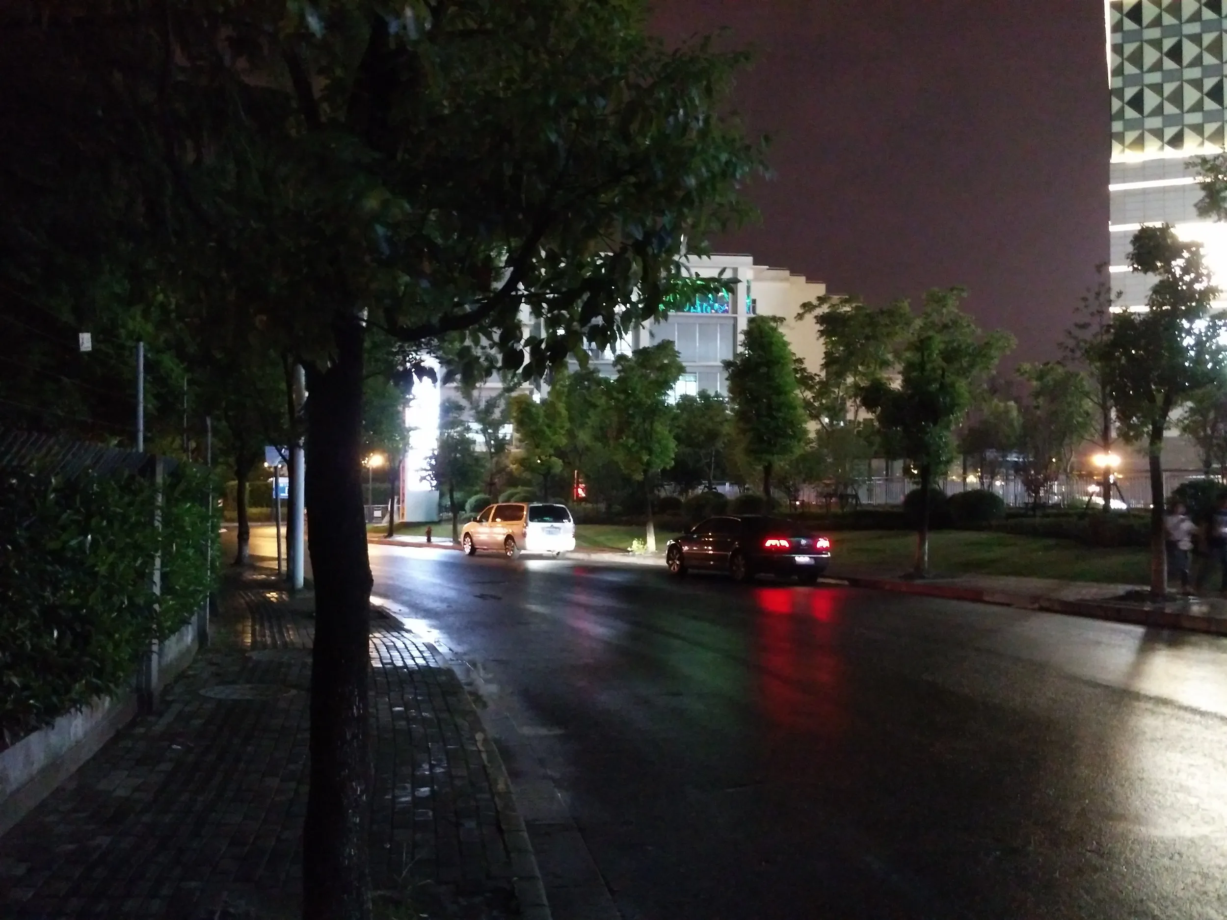 雨の日の散歩