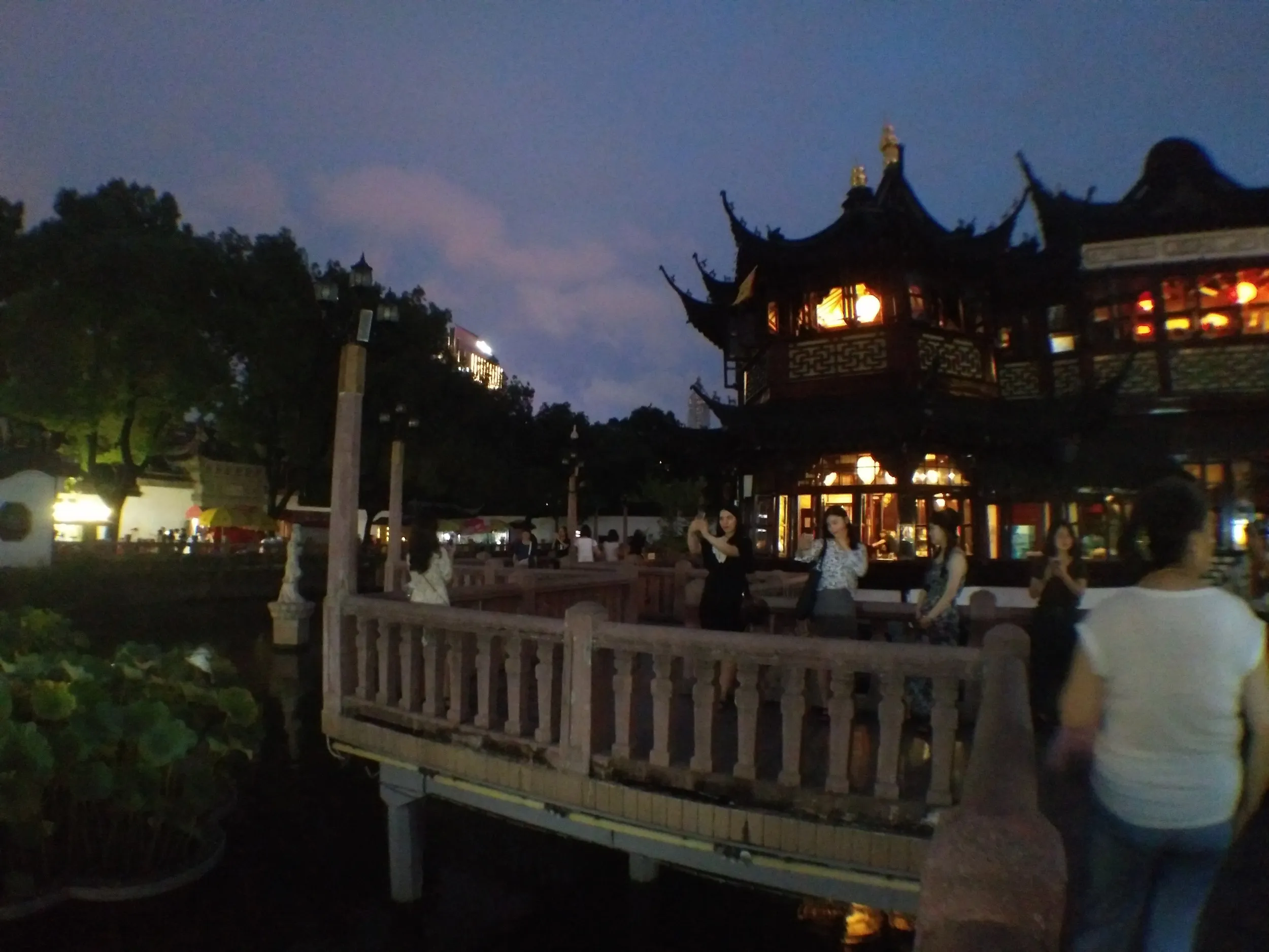 九曲橋付近の風景