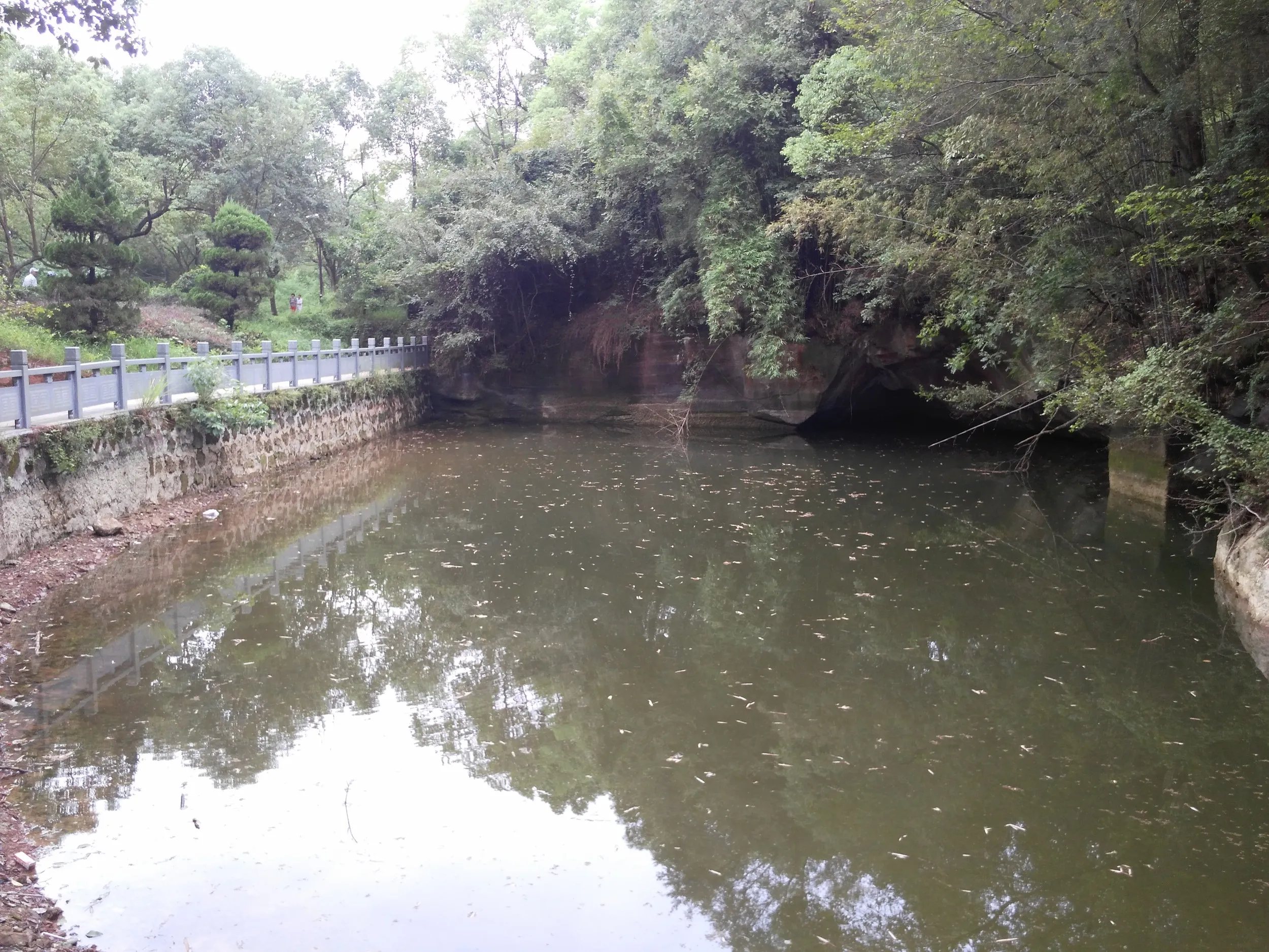景観区の風景