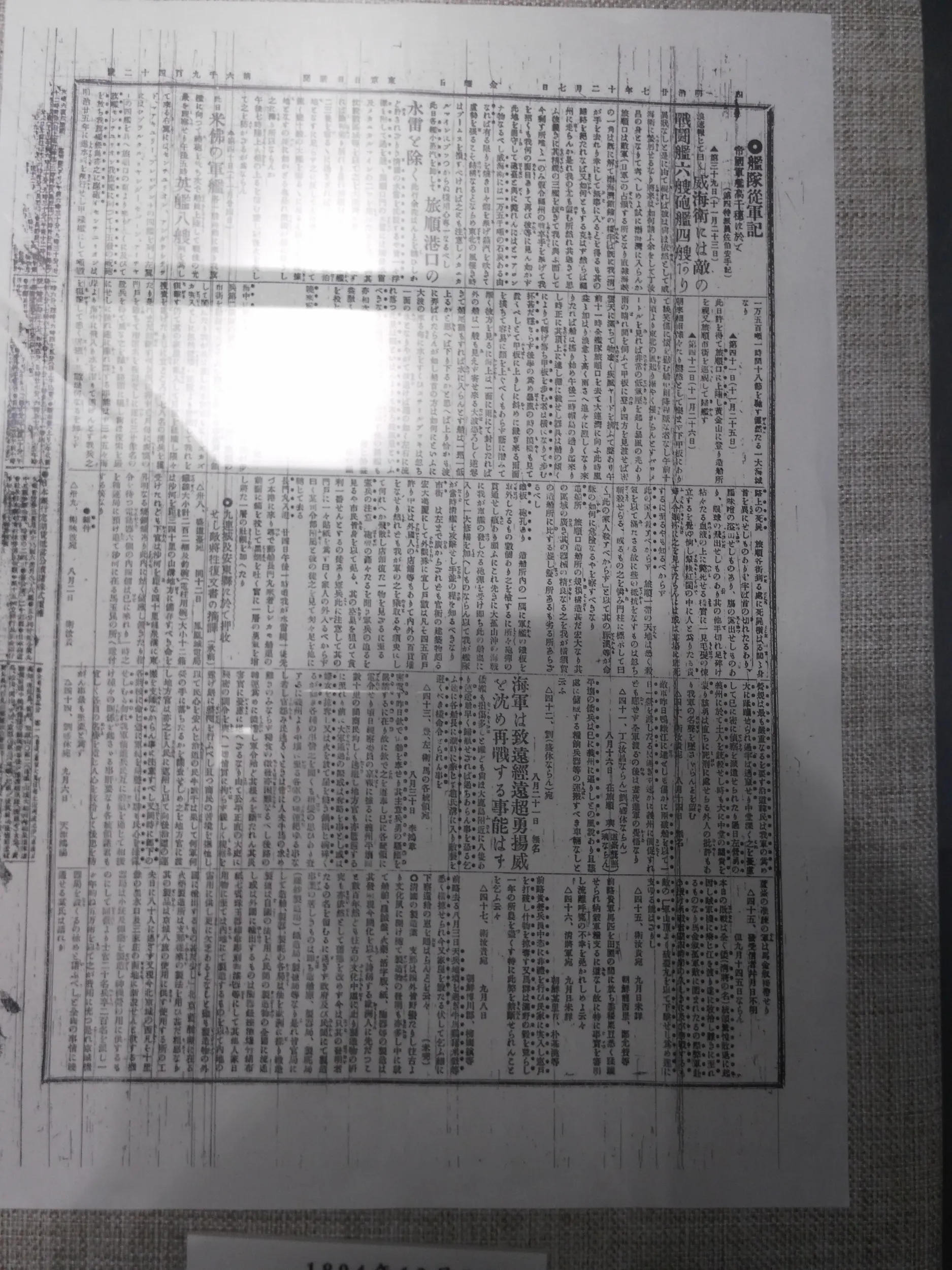 艦隊従軍記