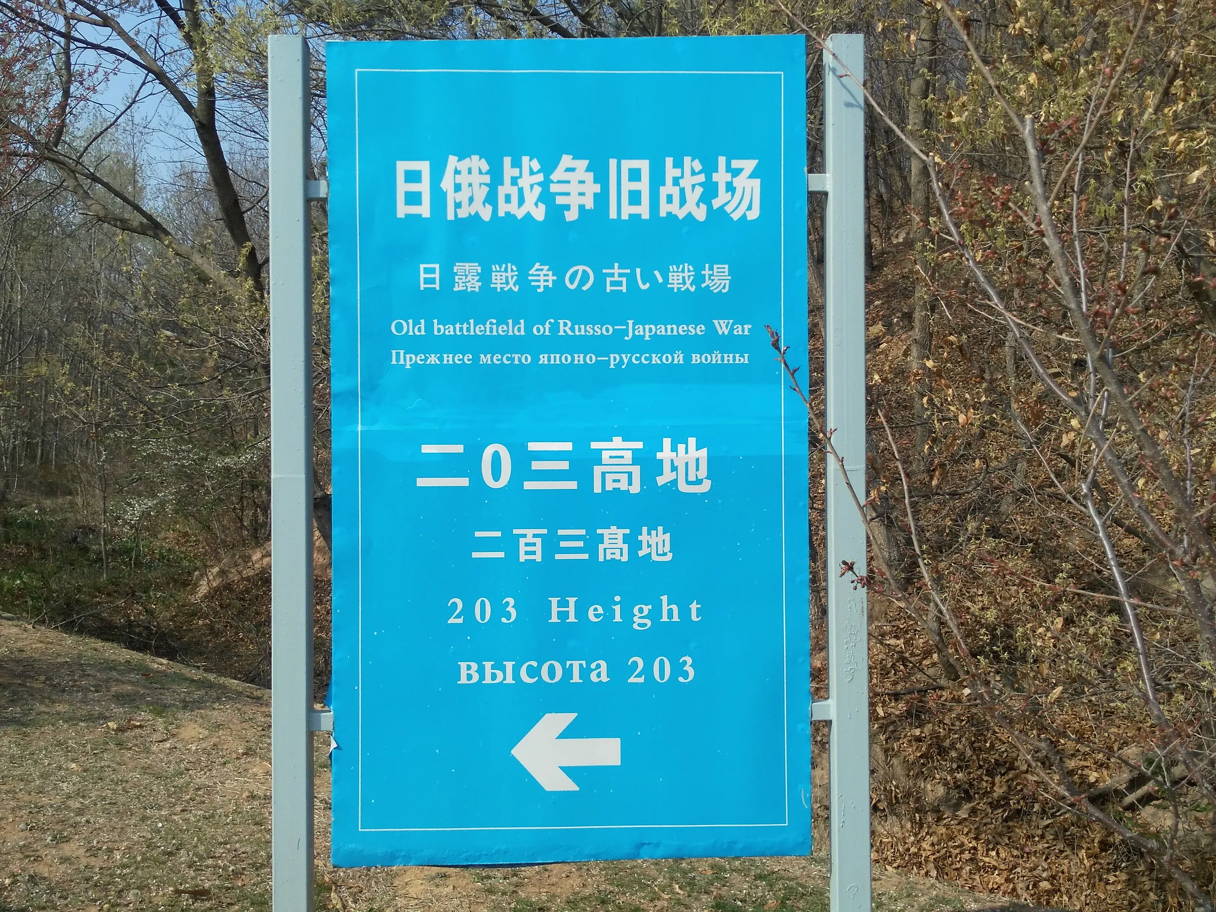 頂上を目指す