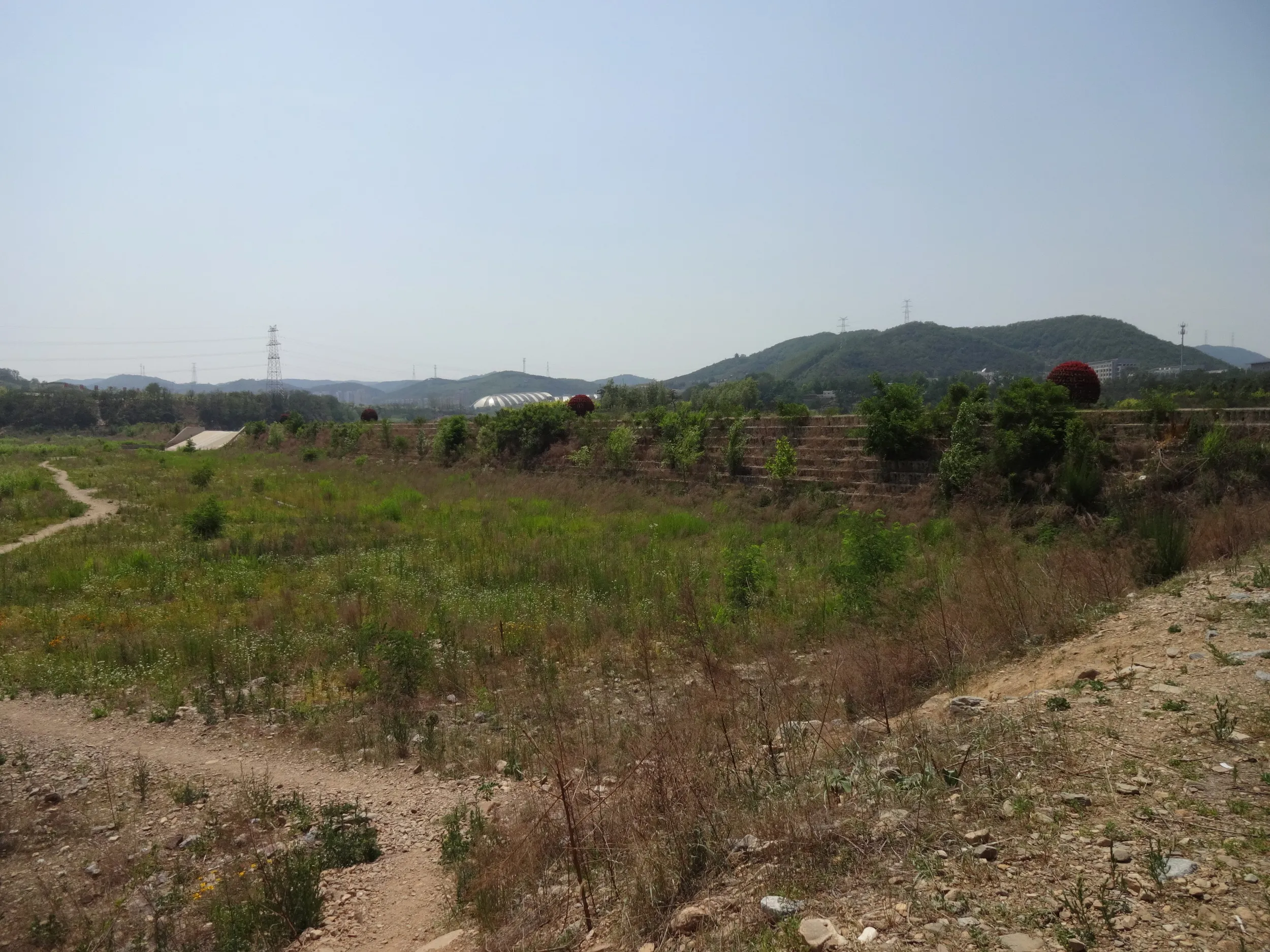 日本的な風景