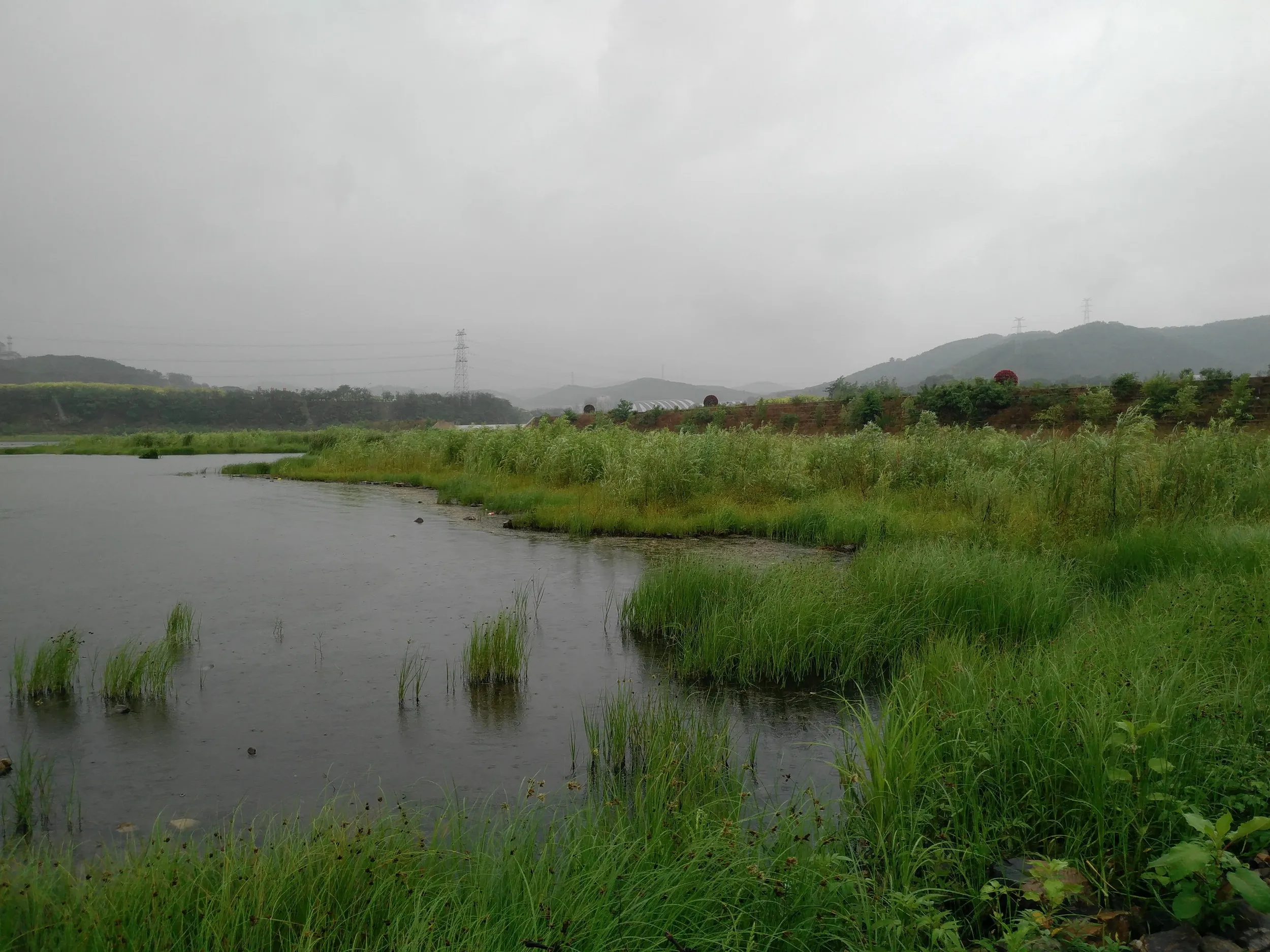 西山水庫の風景